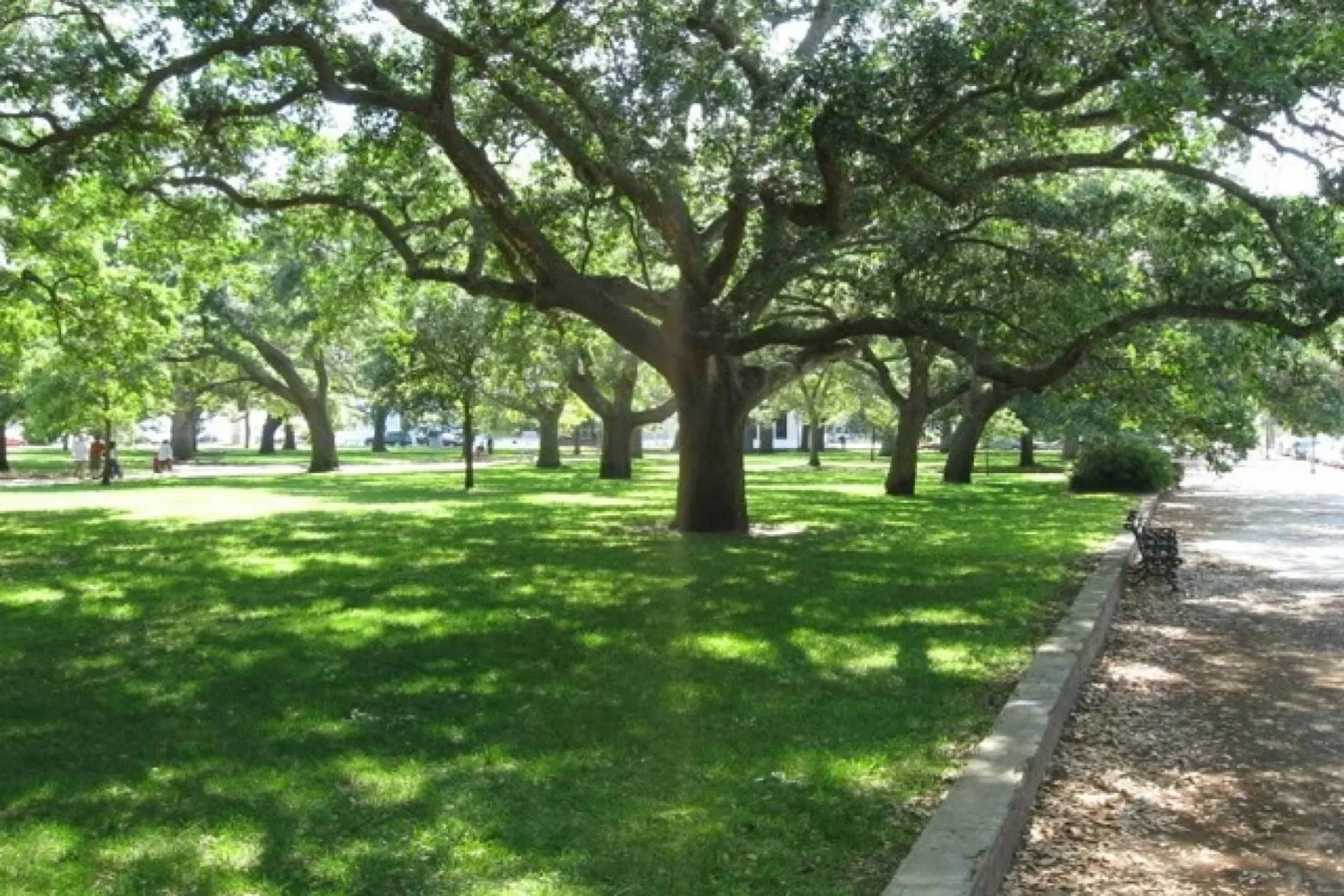 Sweet Spacious Suite