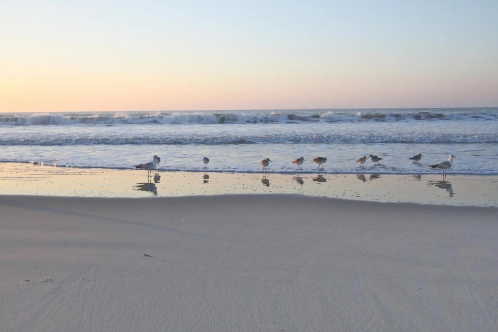 Sweet Spacious Suite