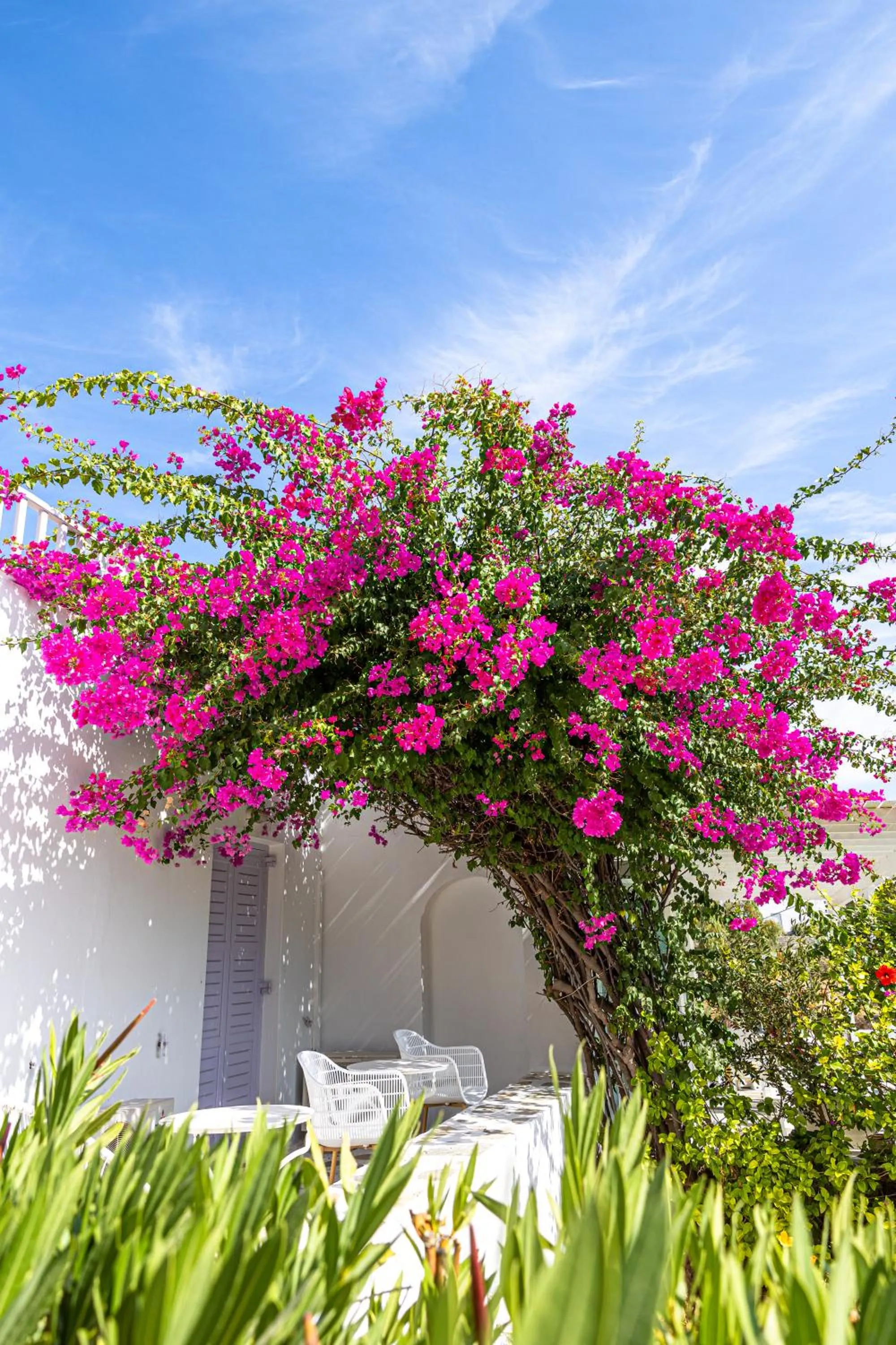 Balcony/Terrace in Akrotiri Hotel