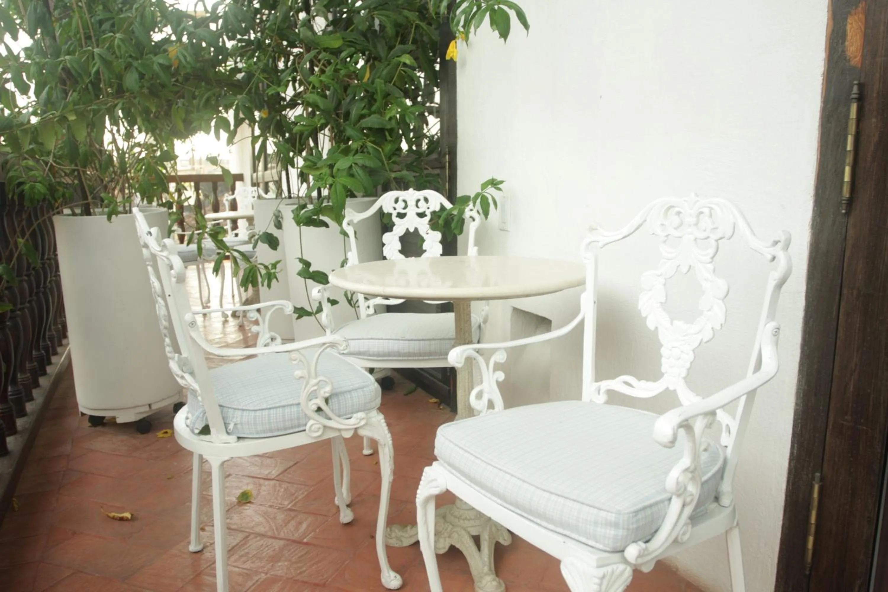 Garden in Hotel Casa Quero