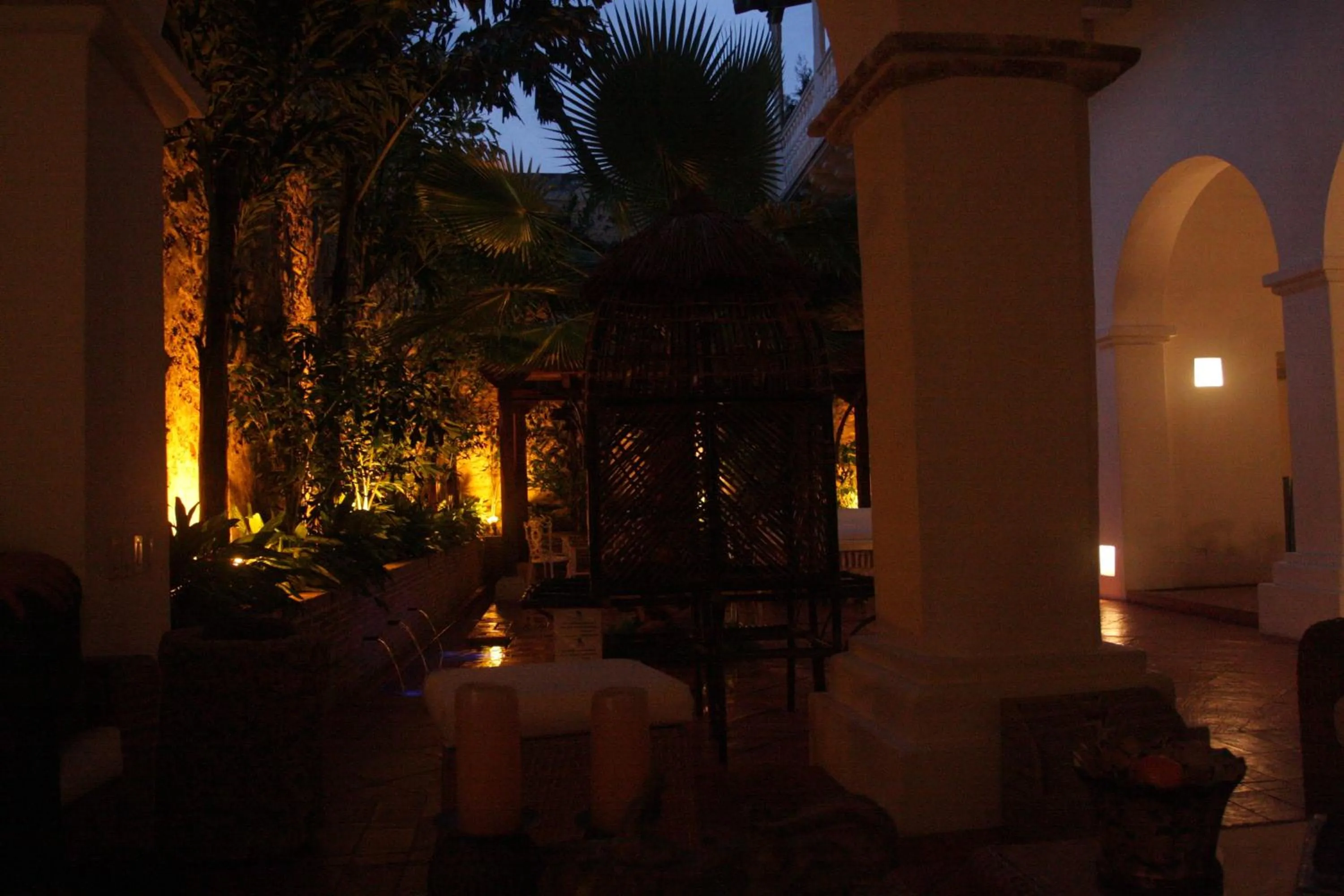 Garden in Hotel Casa Quero