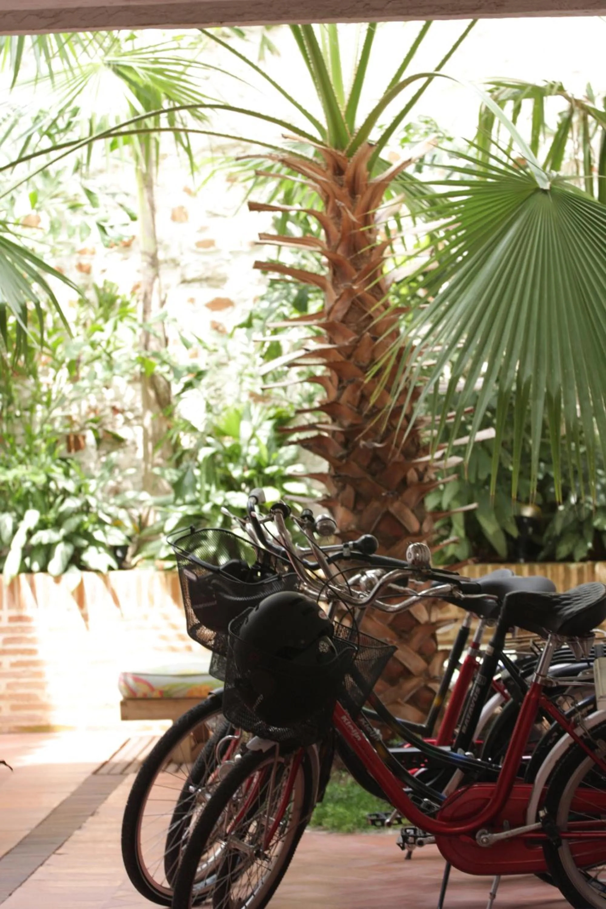 Cycling in Hotel Casa Quero