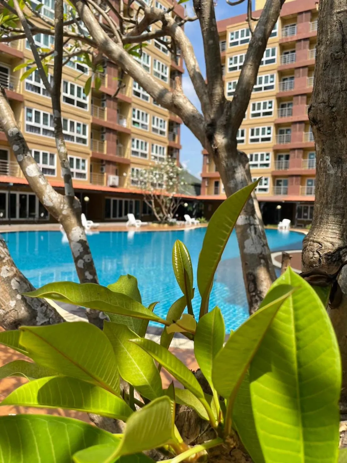 Swimming pool in H2DO Hotel