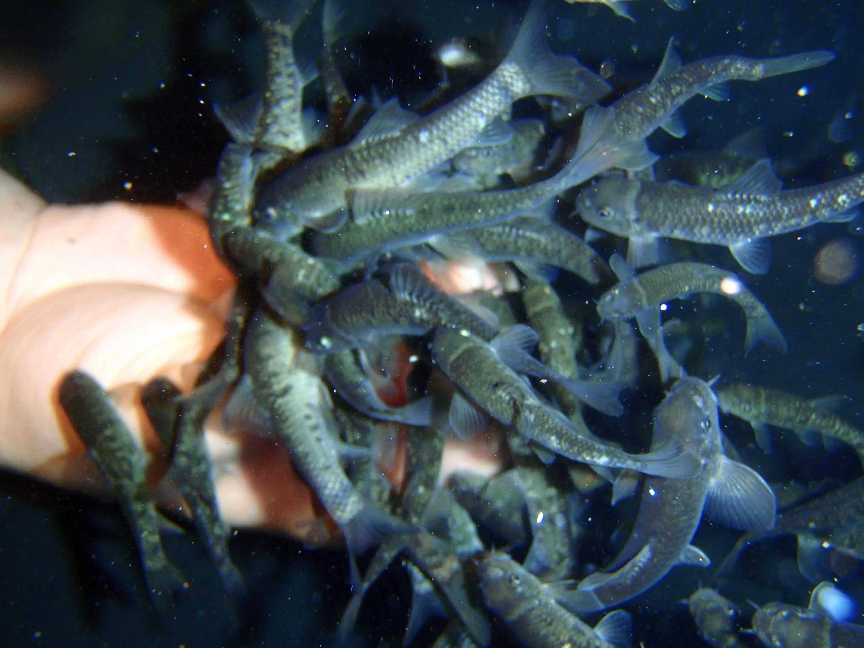 Spa and wellness centre/facilities in Hotel Krakonoš
