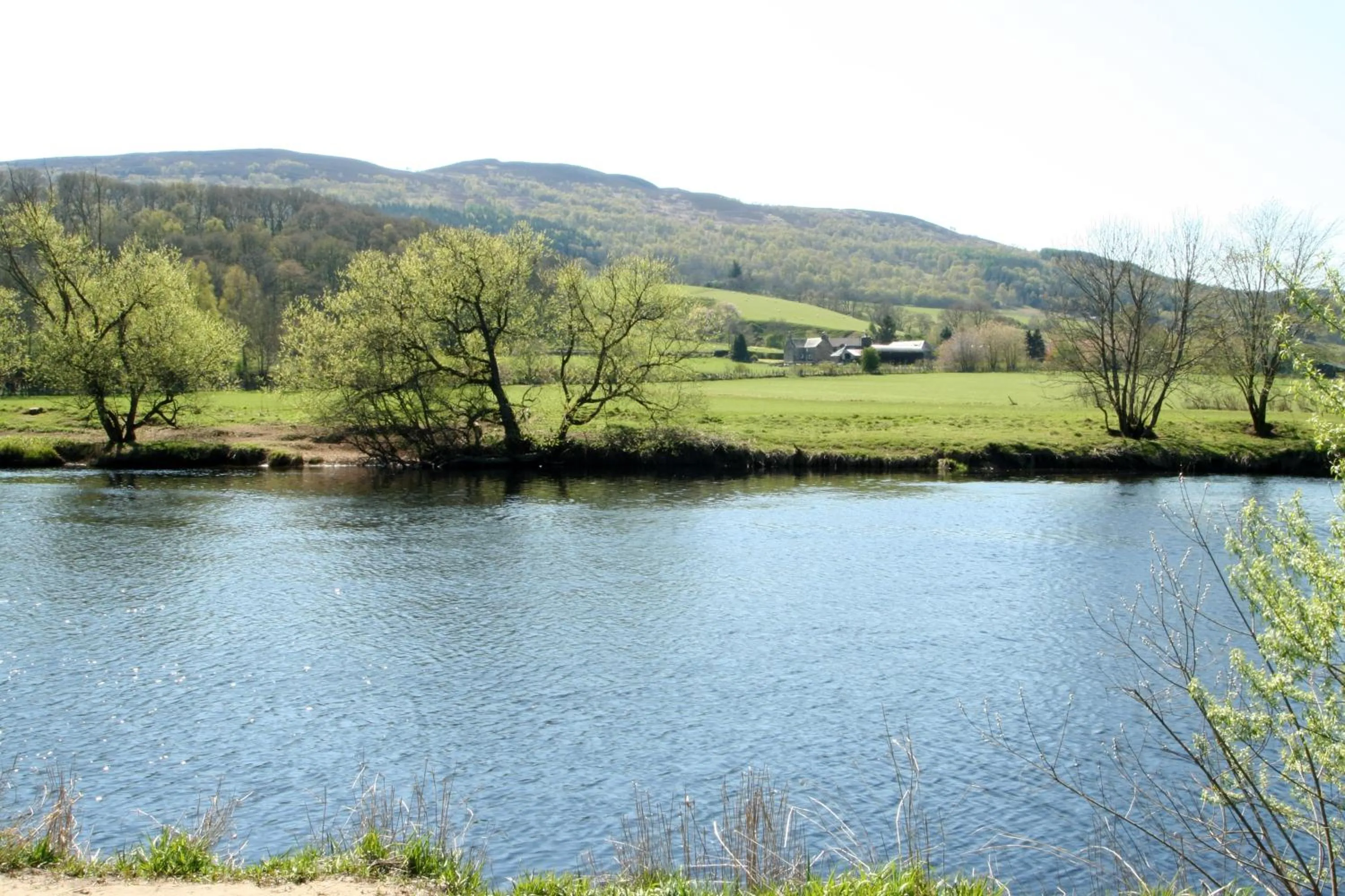 Day in Logierait Pine Lodges