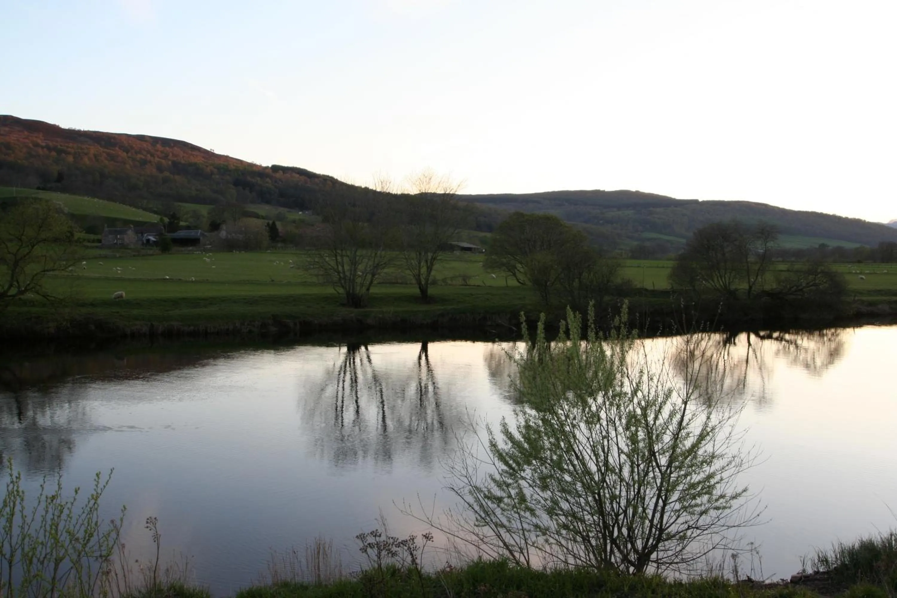 Day in Logierait Pine Lodges