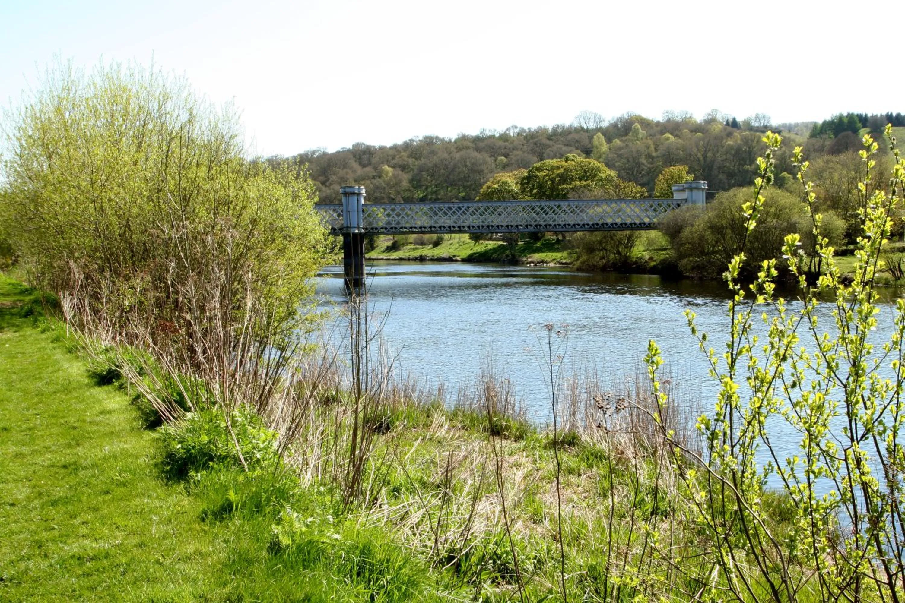 Day in Logierait Pine Lodges