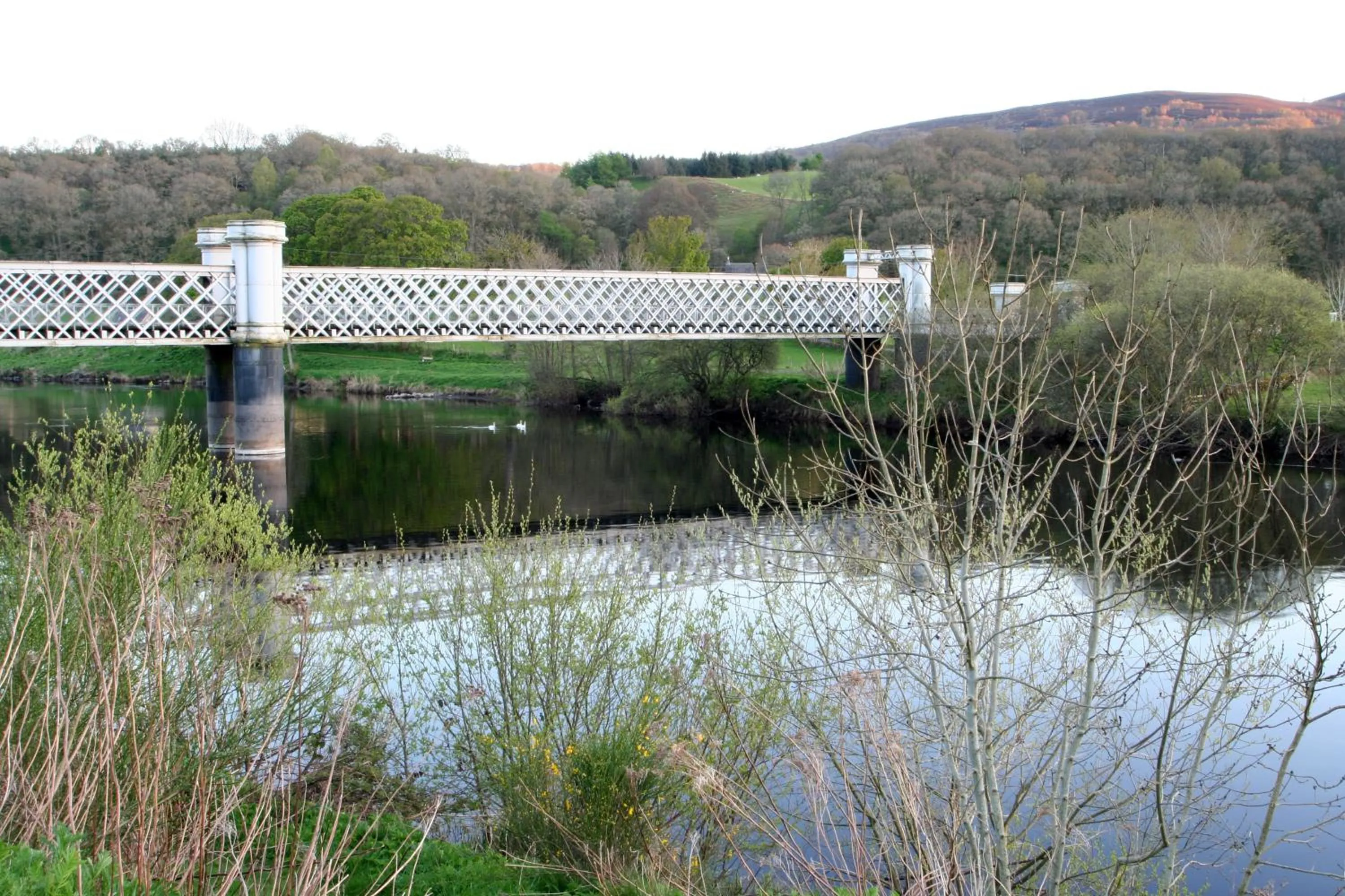 Day in Logierait Pine Lodges