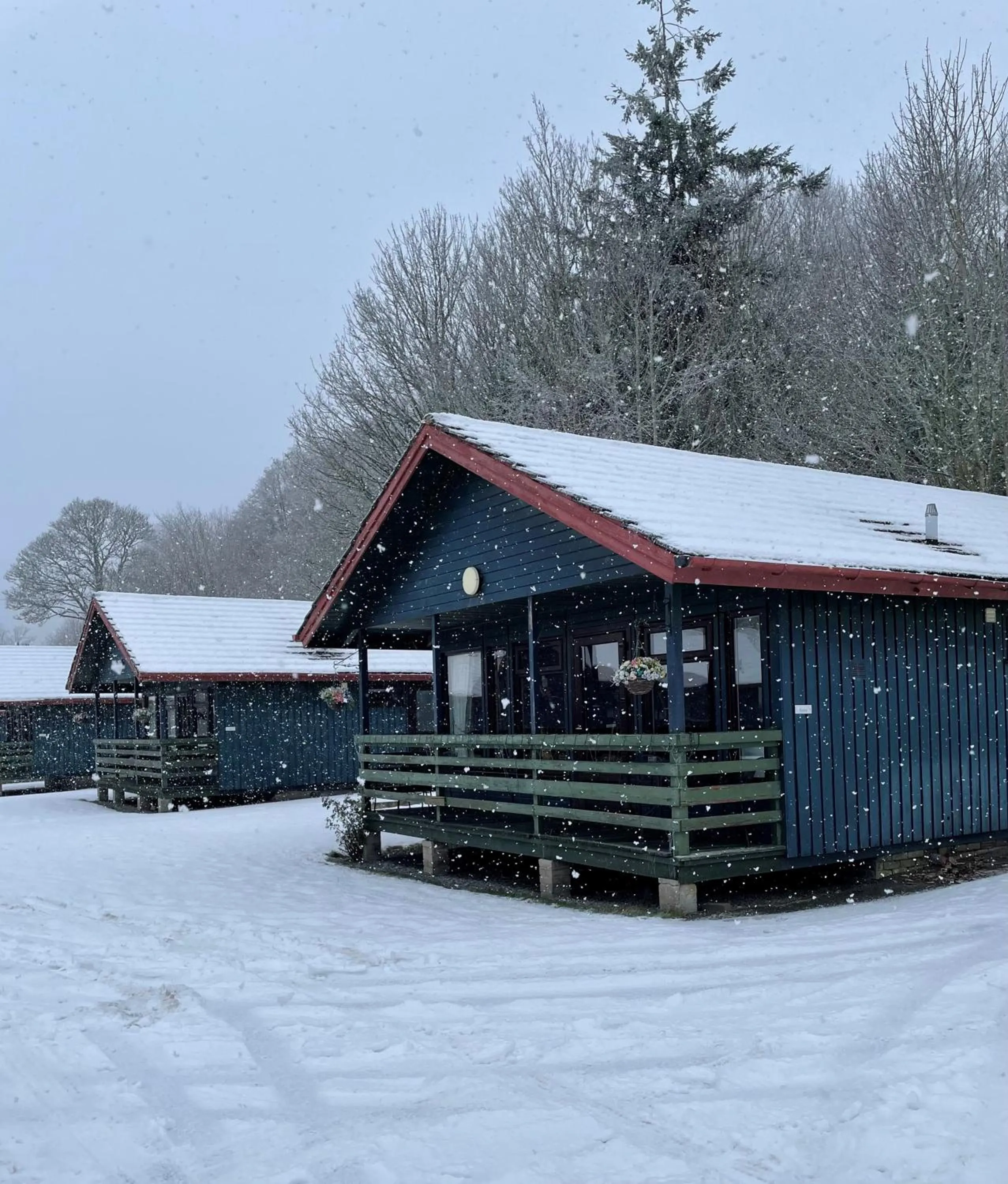 Logierait Pine Lodges