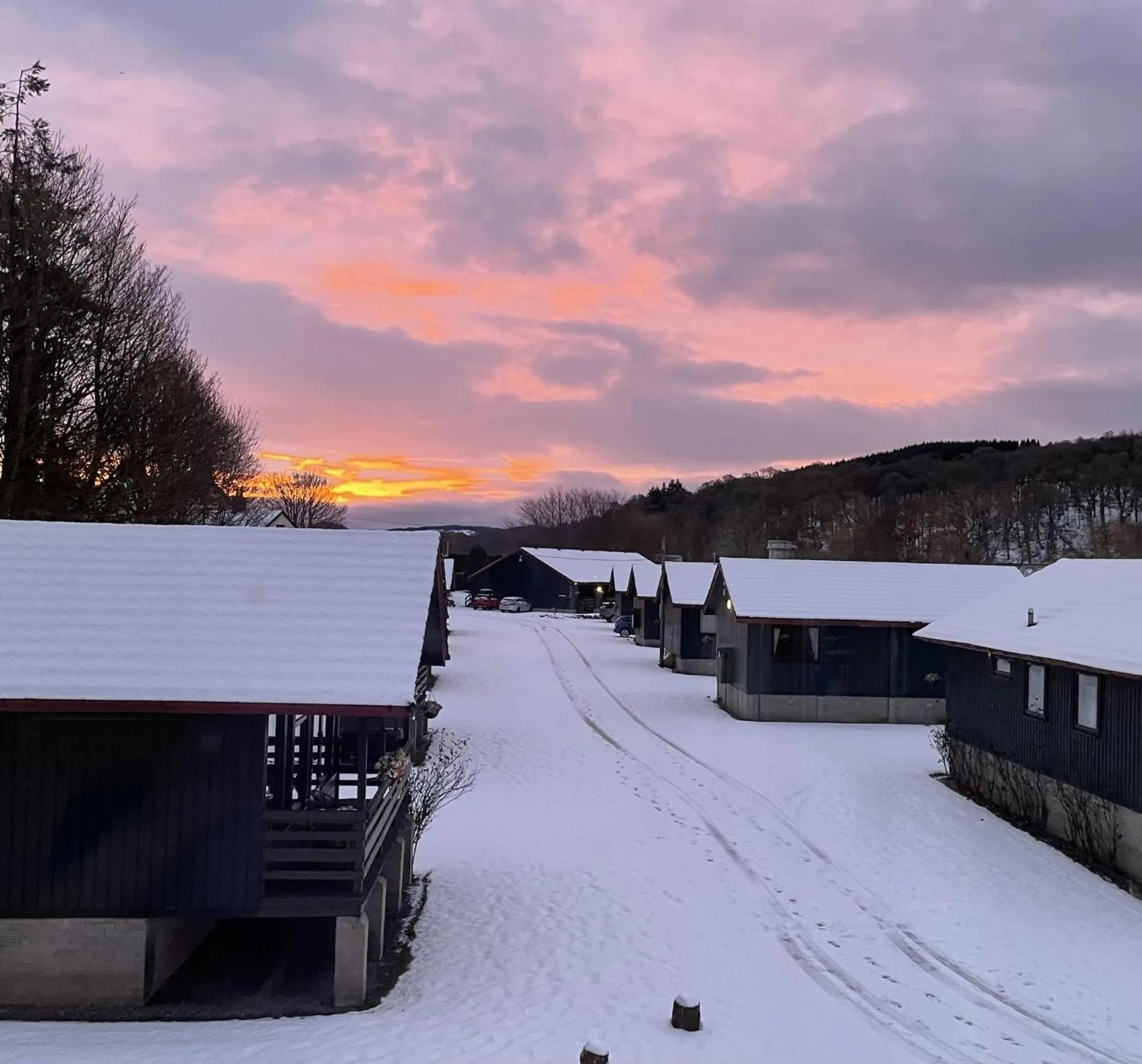 Logierait Pine Lodges