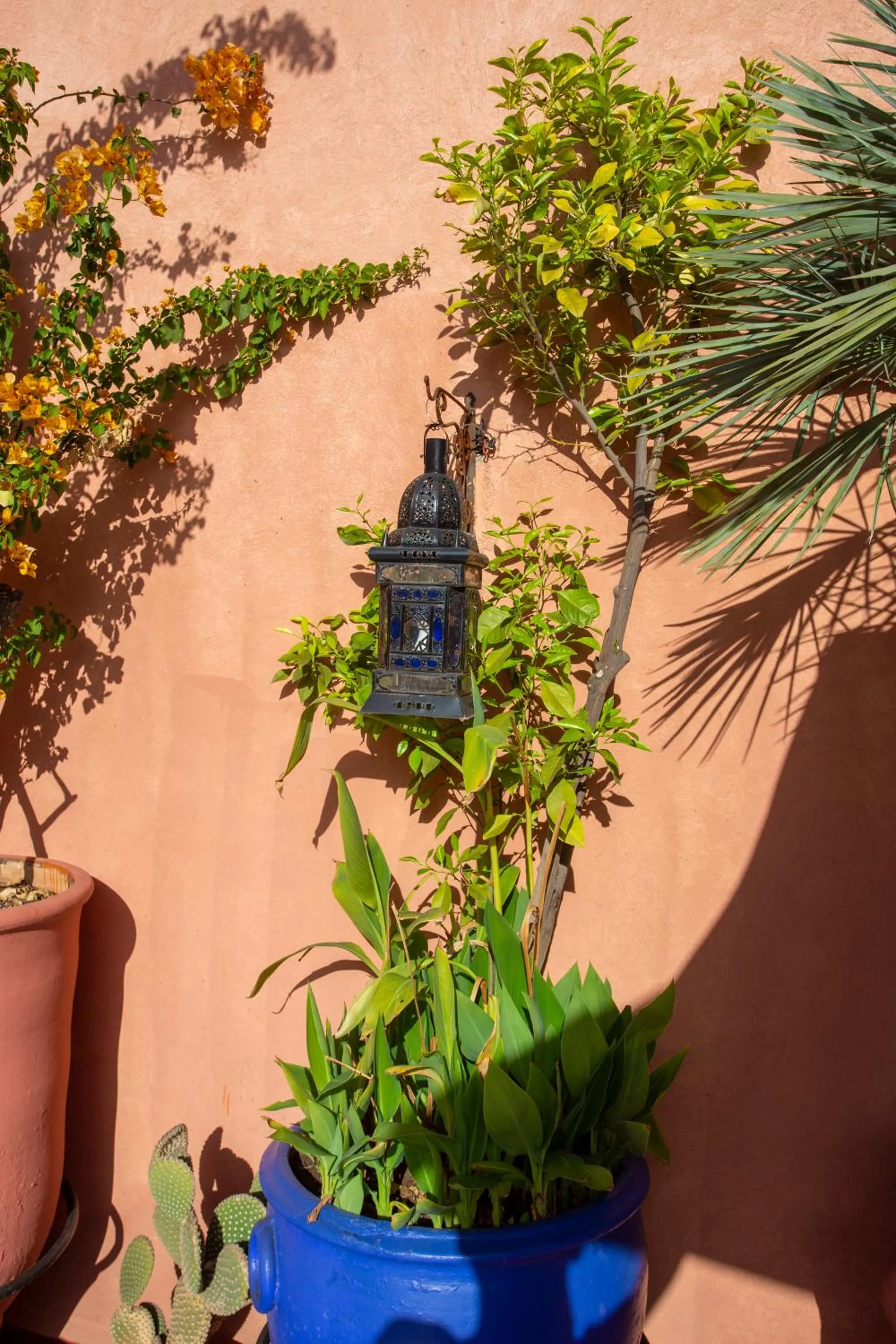 Garden in Riad Christina