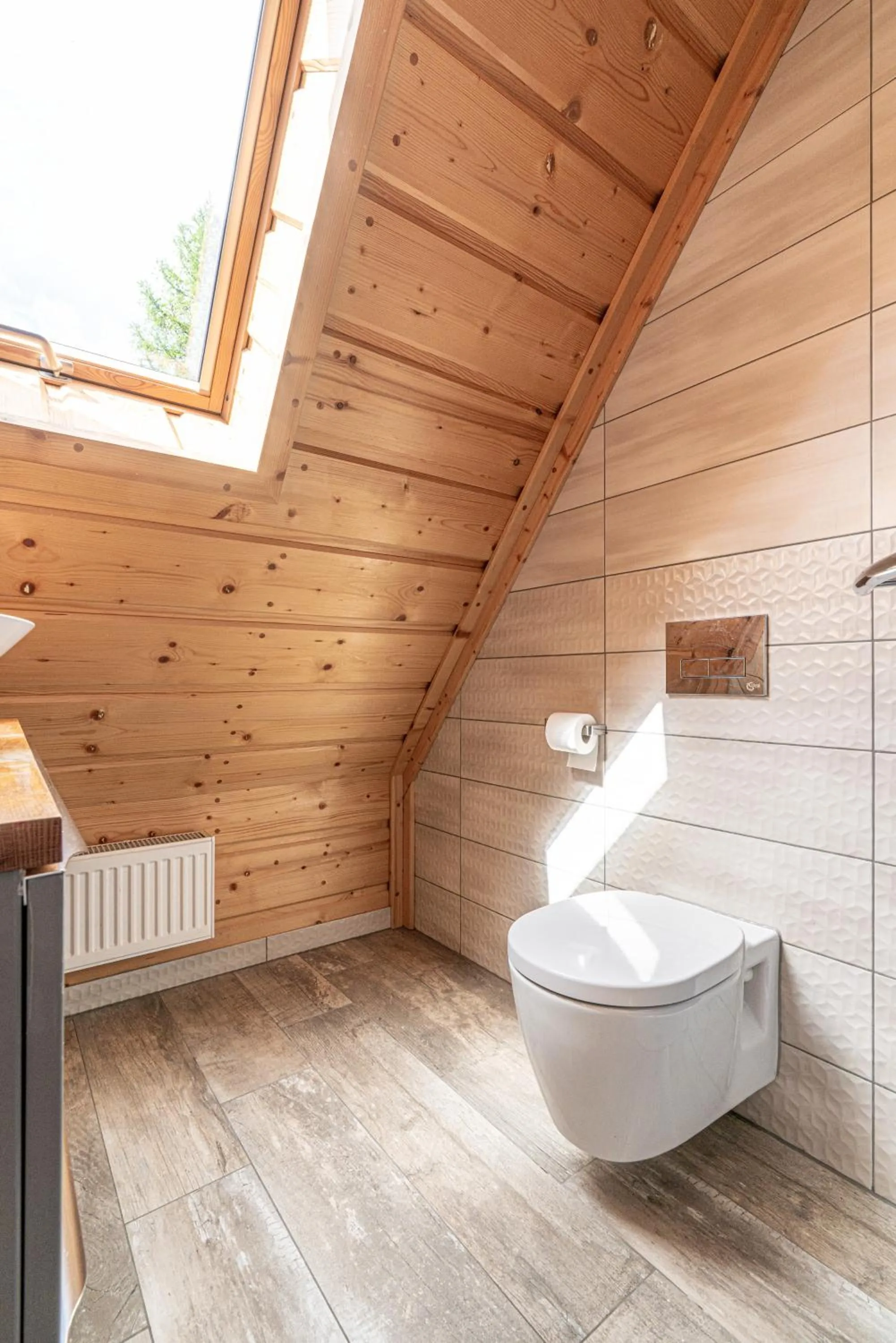 Toilet in Willa Baciarka-basen, sauny i jacuzzi