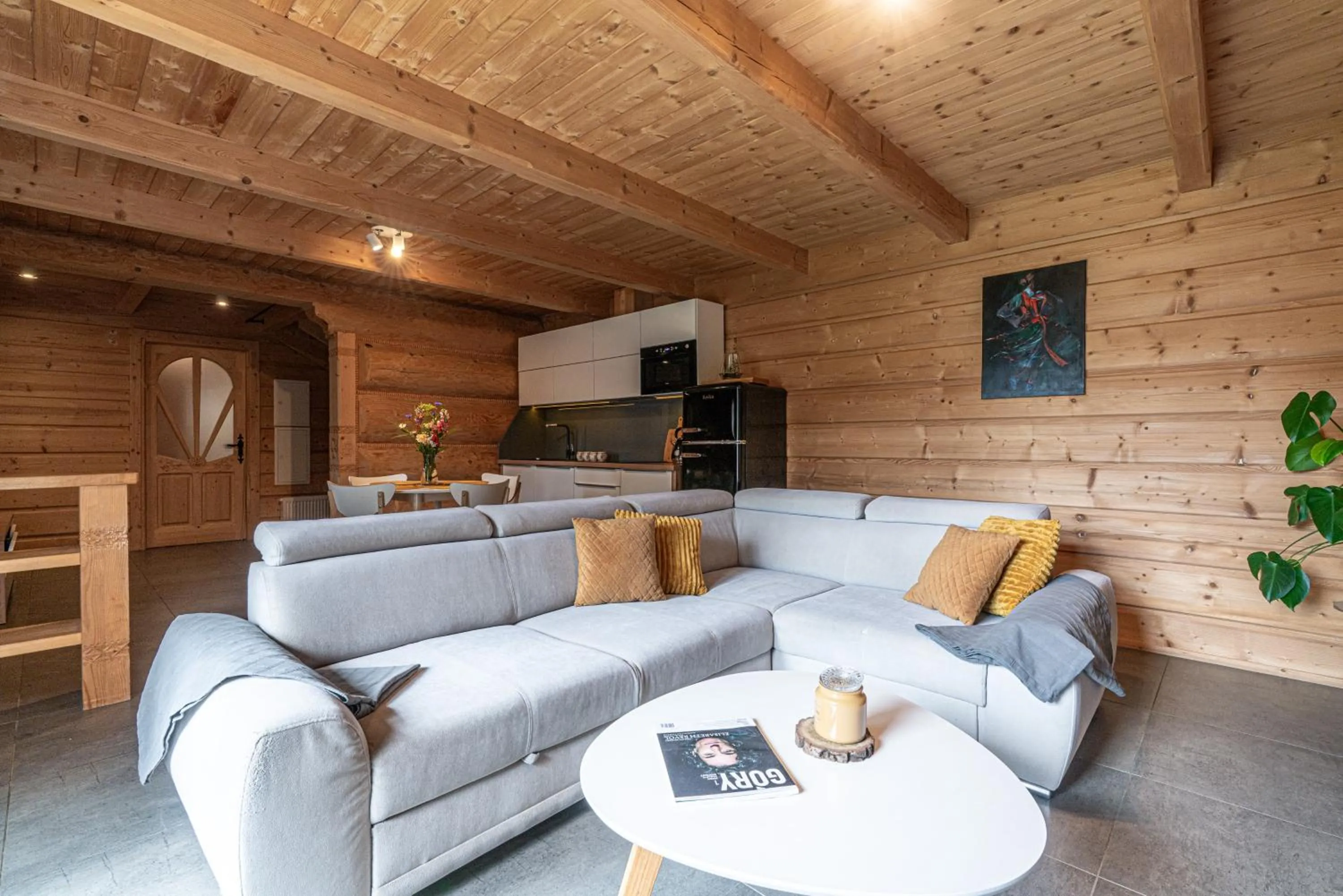 TV and multimedia in Willa Baciarka-basen, sauny i jacuzzi