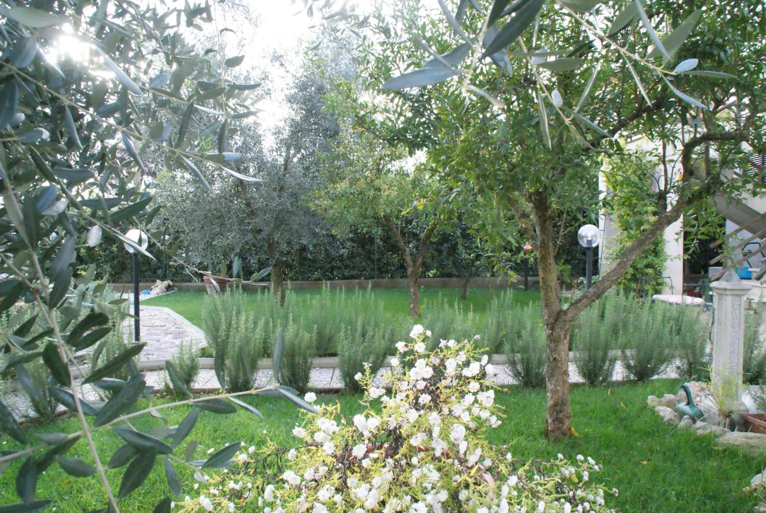 Garden in Bed&Breakfast degli ulivi