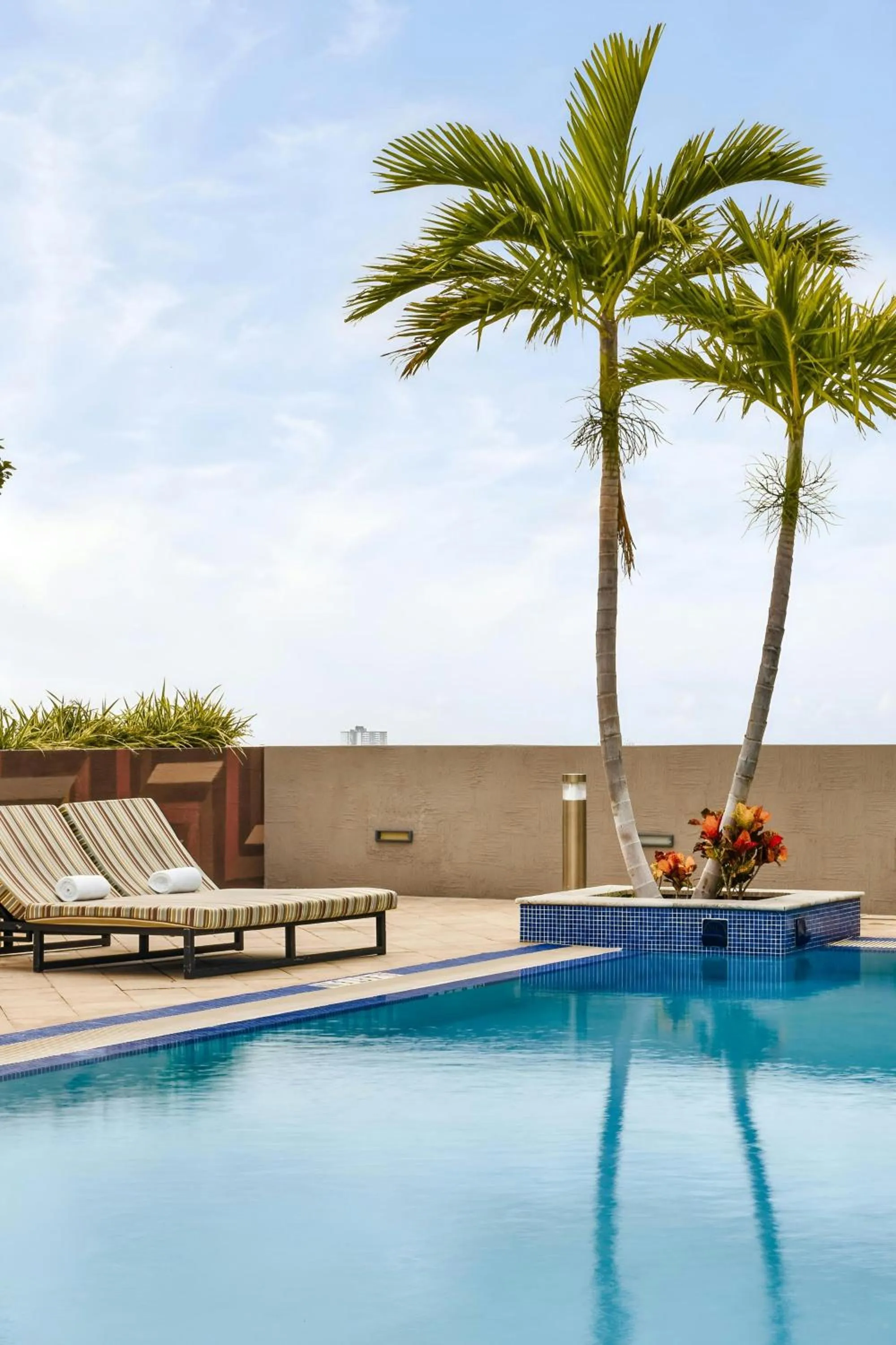 Swimming pool in The Circ Hotel Hollywood, Sonder by Marriott Bonvoy