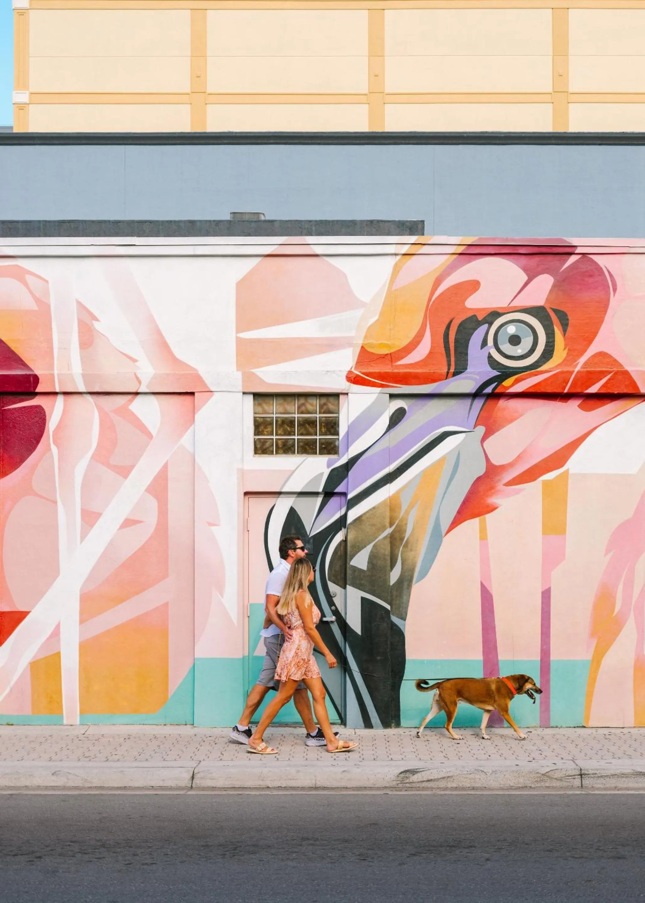 The Circ powered by Sonder