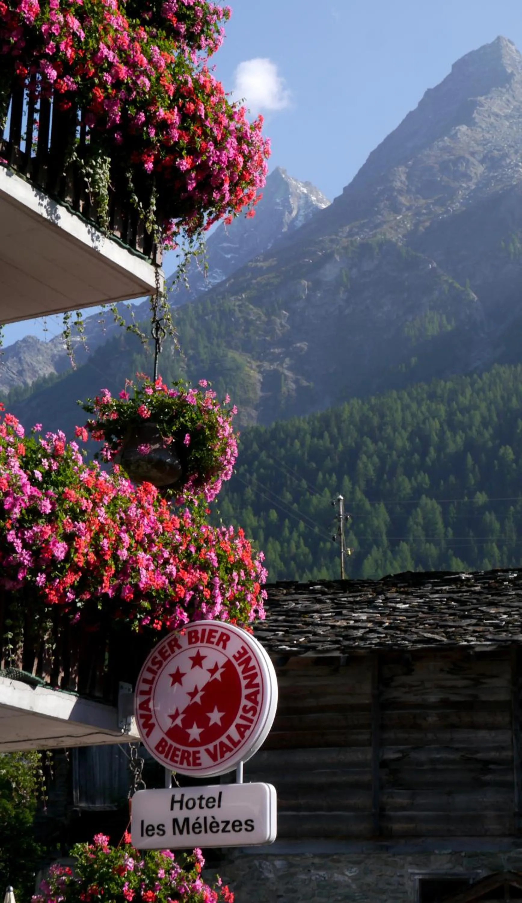 Decorative detail in Hotel Les Mélèzes