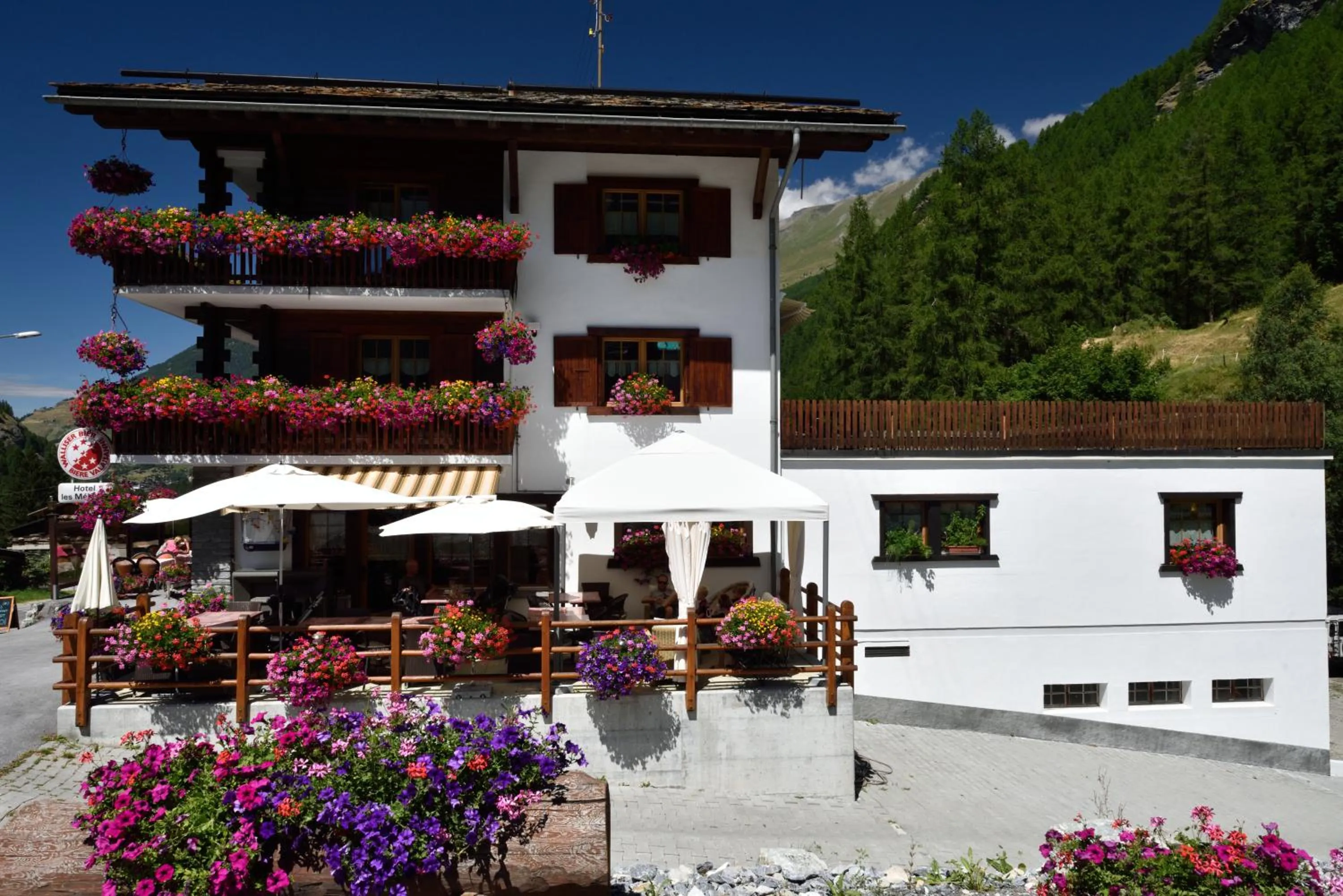 Property building in Hotel Les Mélèzes