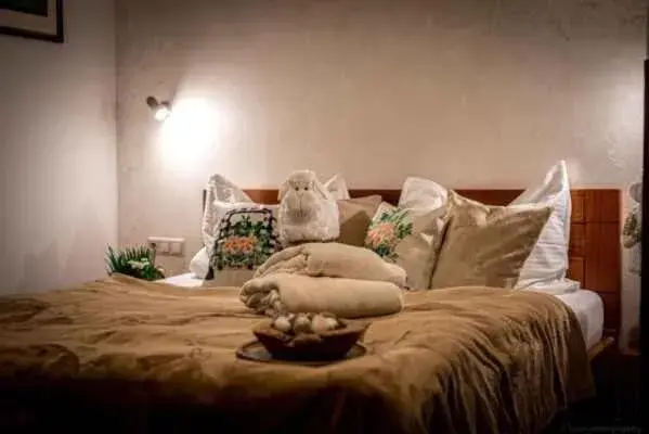 Double Room - single occupancy in Penzion a restaurace Staré Časy Double Room - single occupancy in Penzion a restaurace Staré Časy