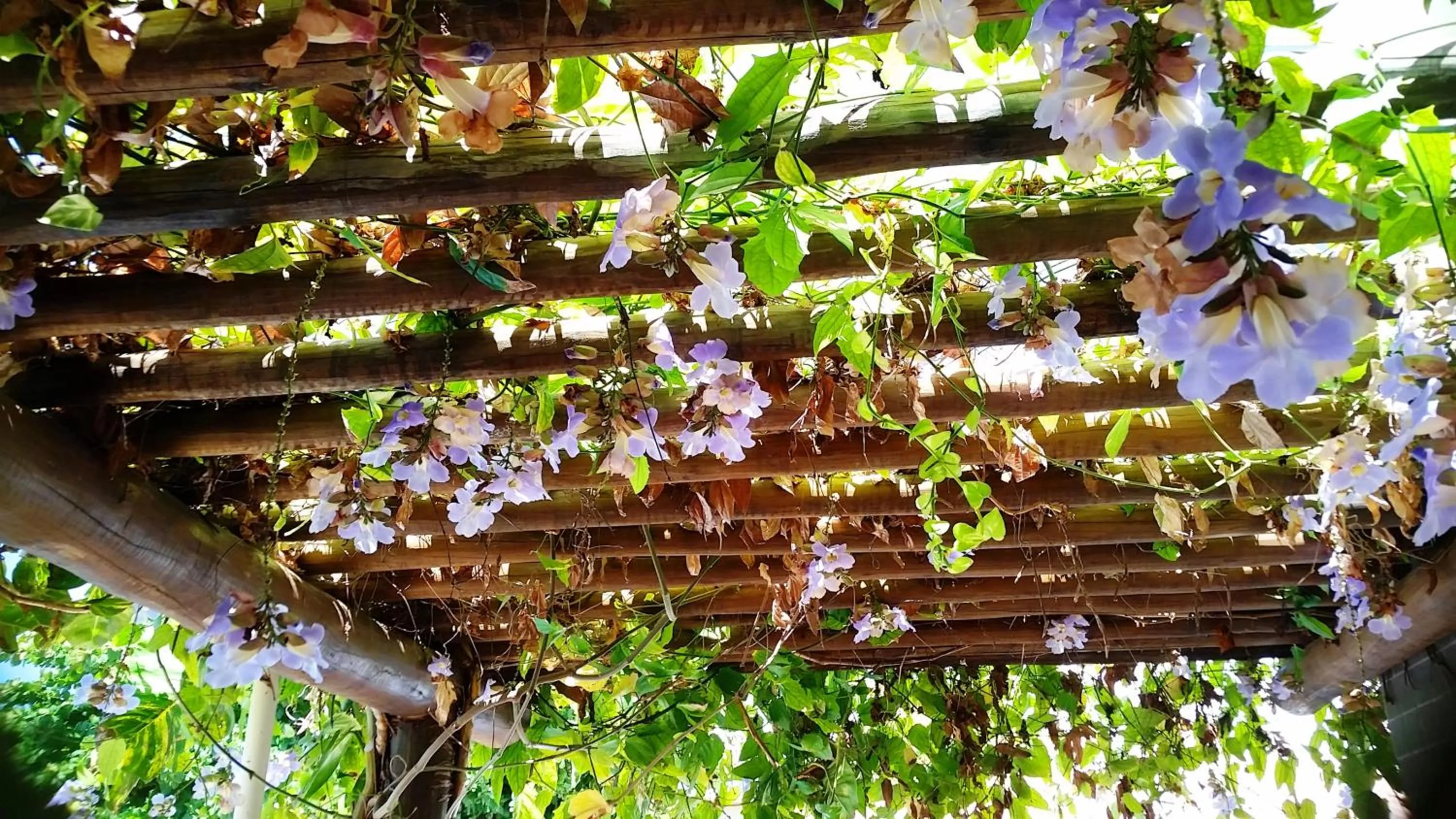 Garden view in Hotel Pousada do Sol
