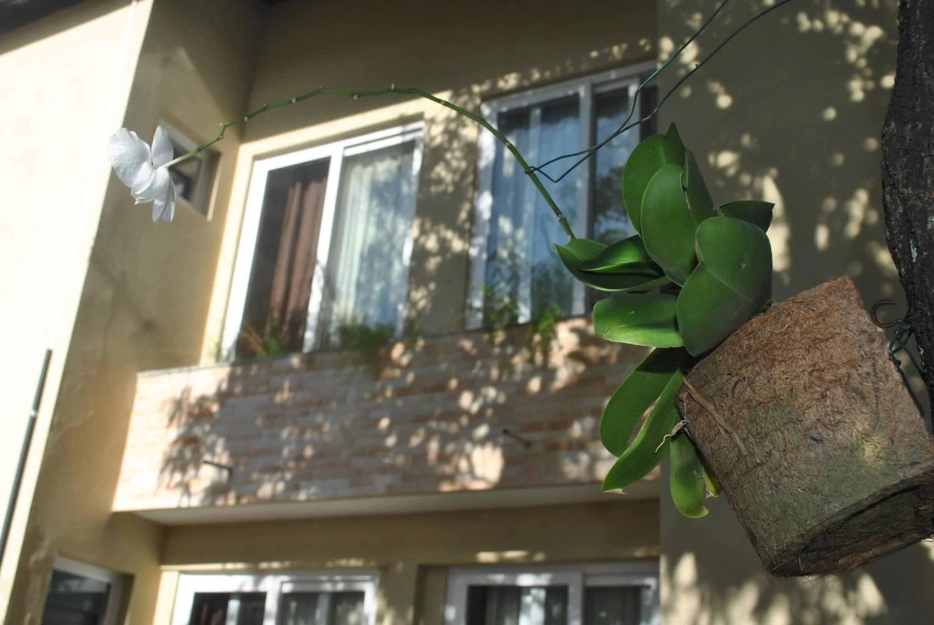 Property building in Hotel Pousada do Sol