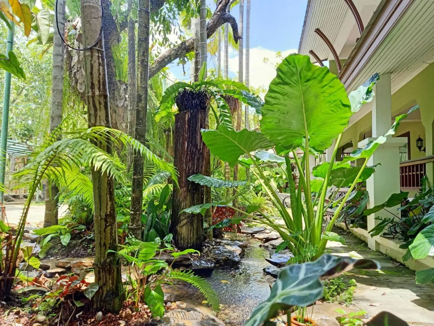 View (from property/room) in Rommai Greenpark