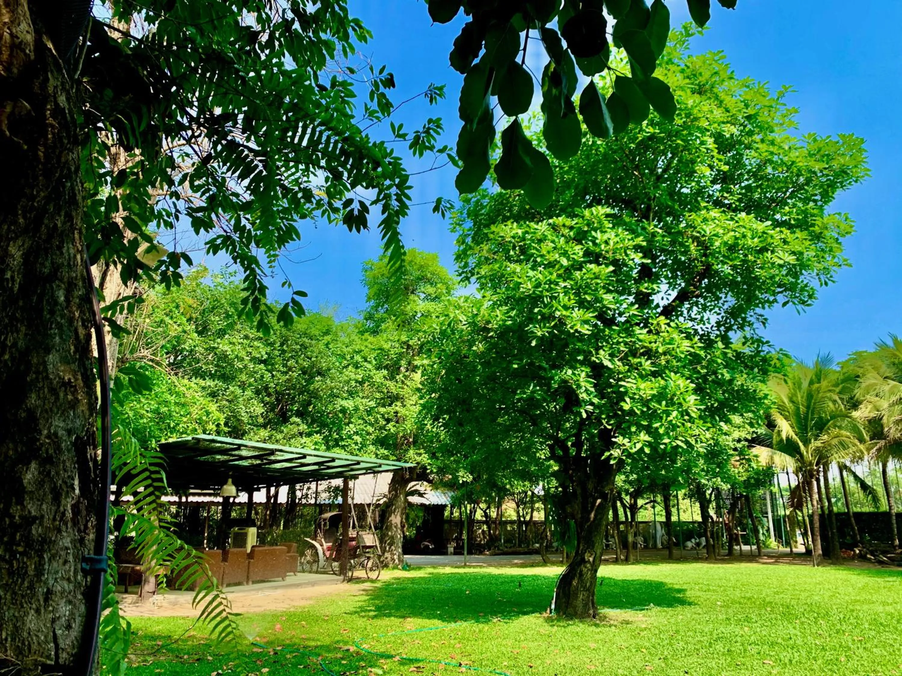 Garden view in Rommai Greenpark