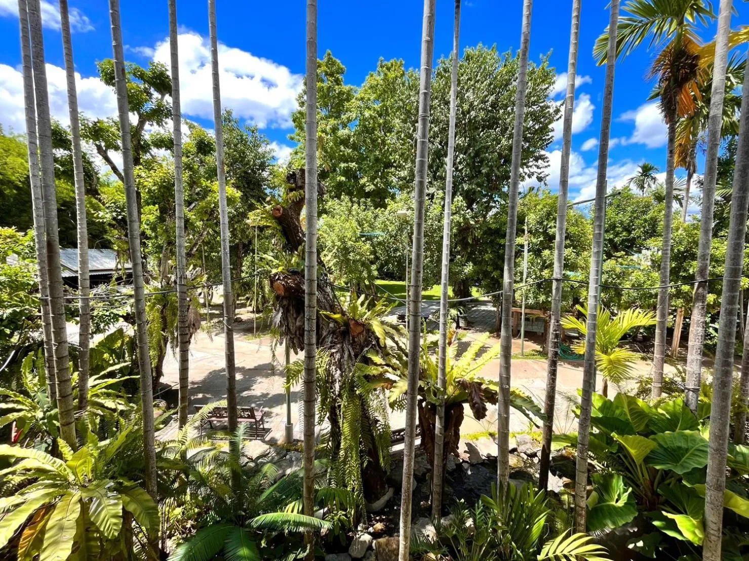 View (from property/room) in Rommai Greenpark