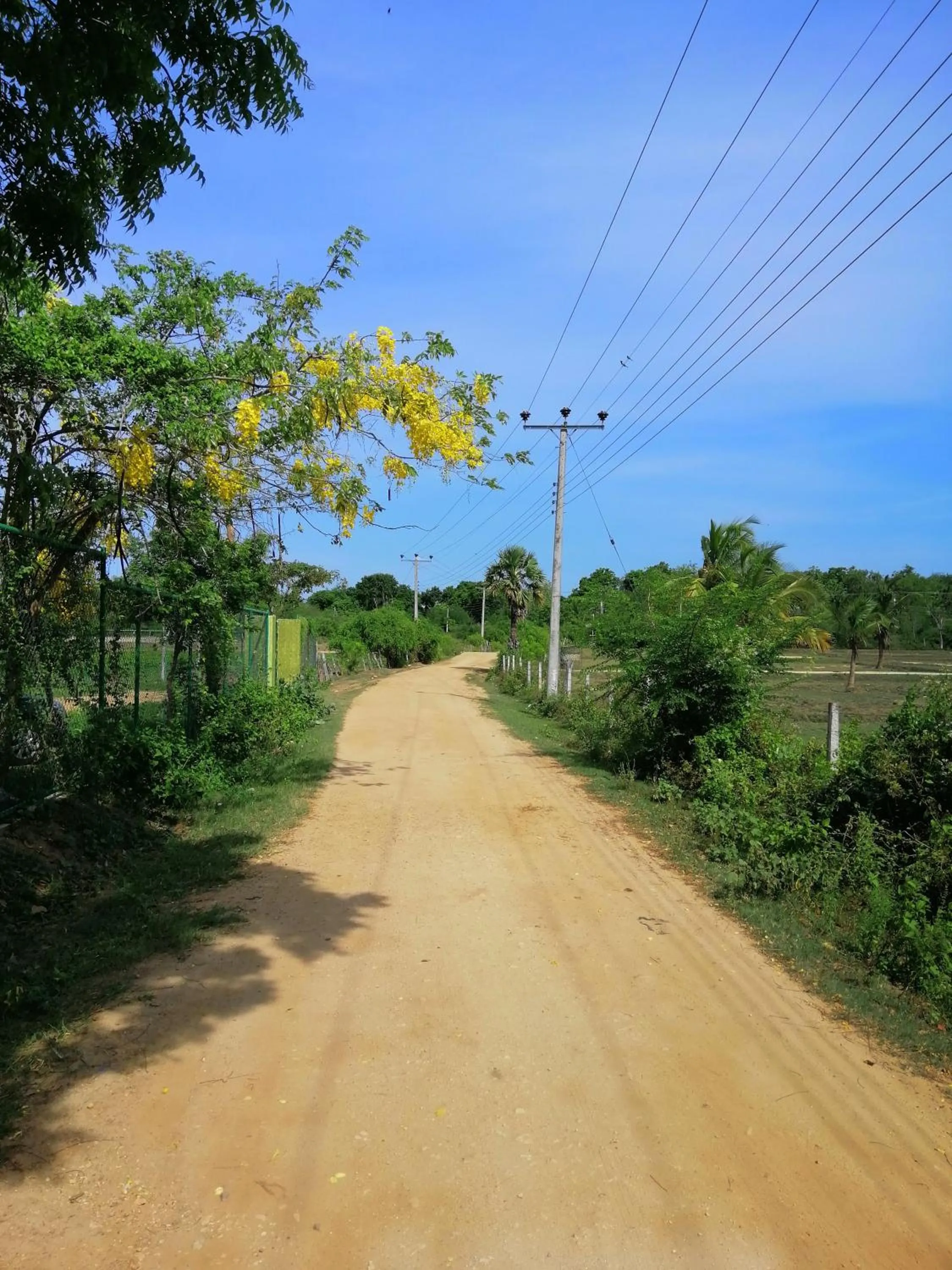 Natural landscape in Breezy Lake