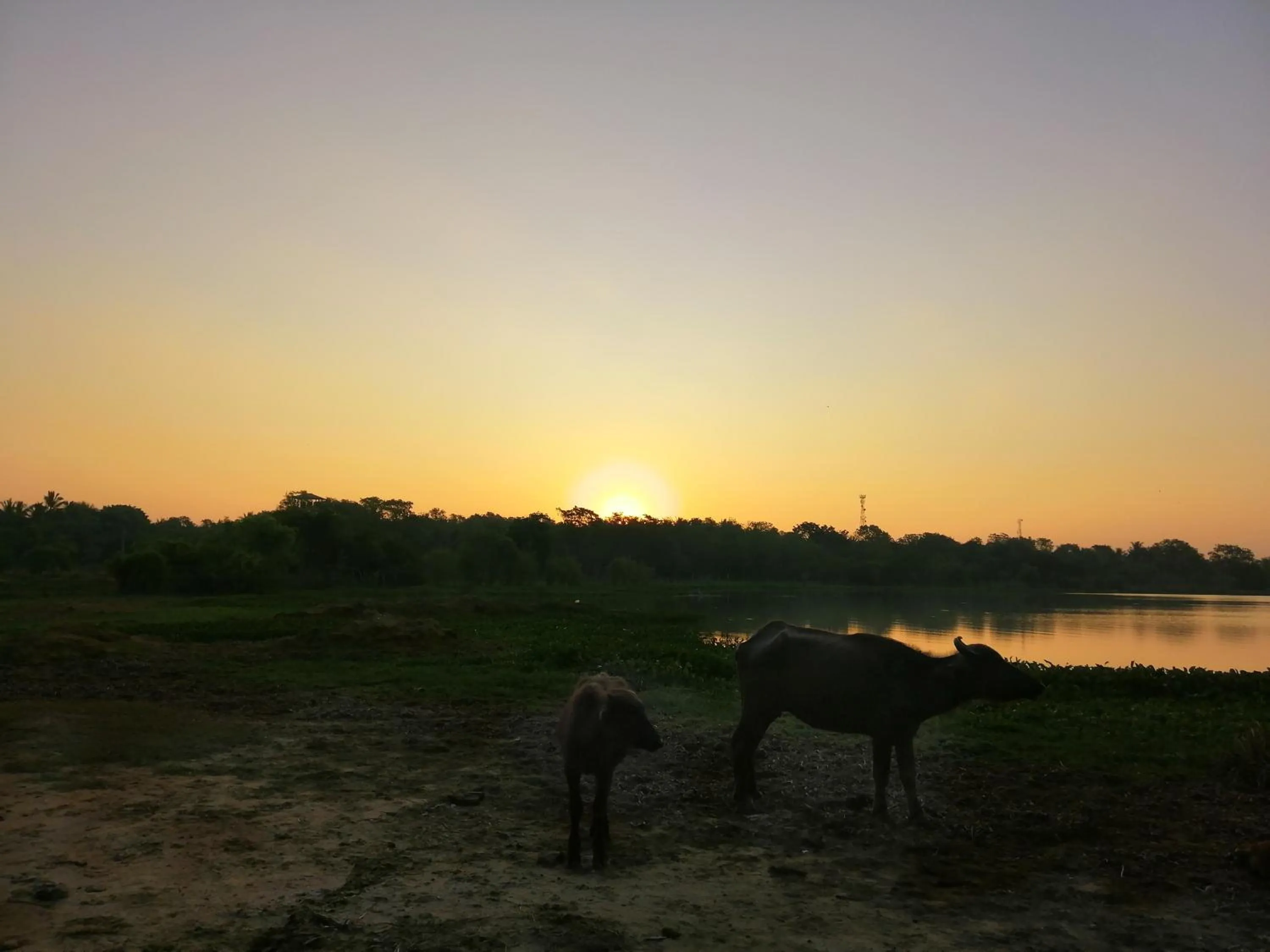 Sunrise in Breezy Lake