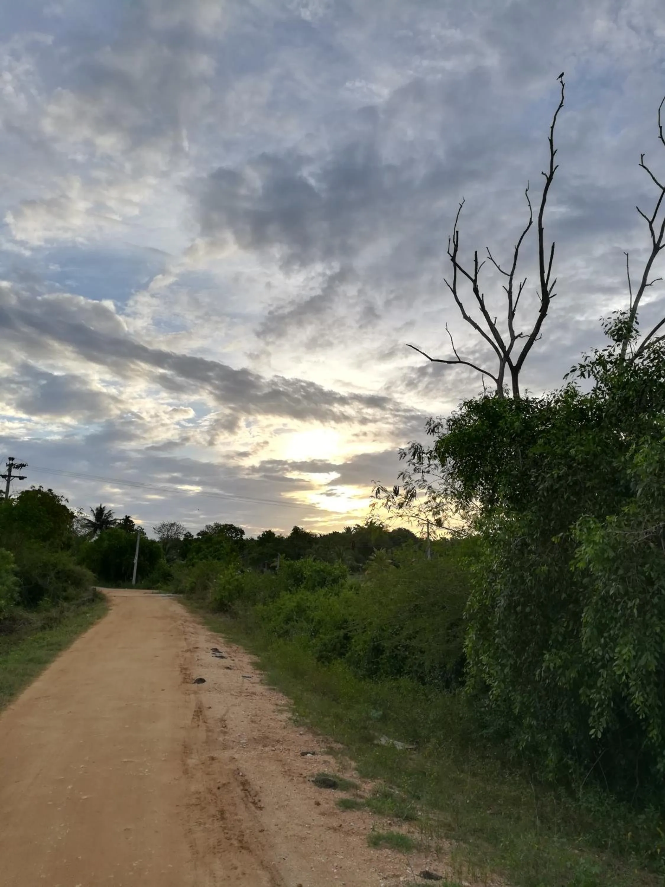 Natural landscape in Breezy Lake