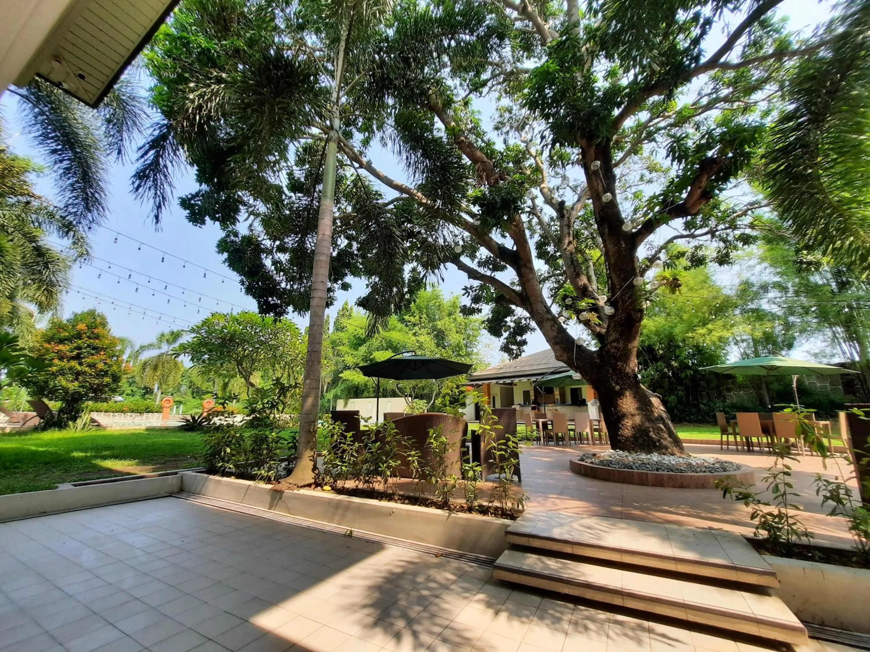 Garden in The Farmhouse By EDL