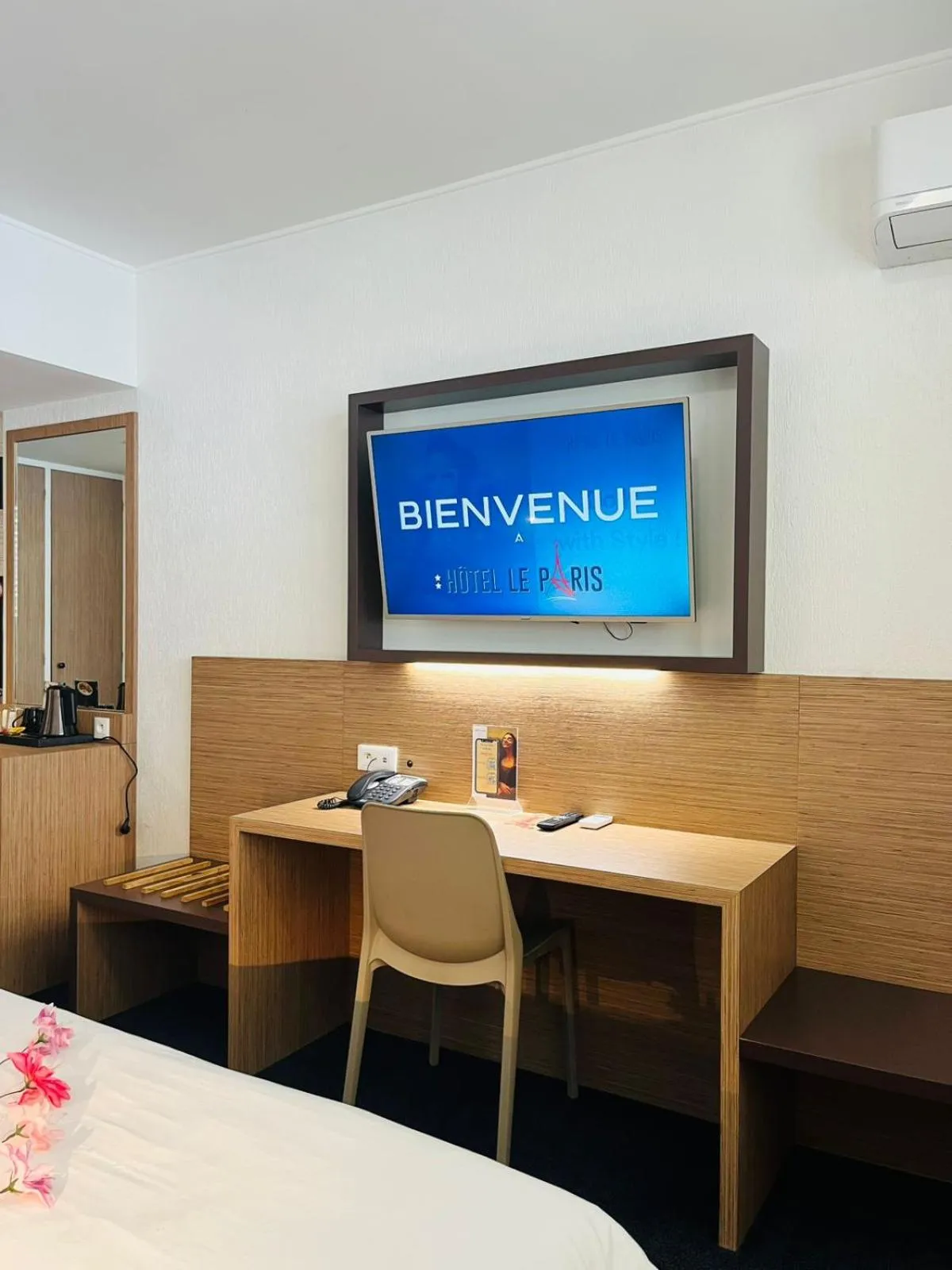 TV and multimedia in Hotel Le Paris