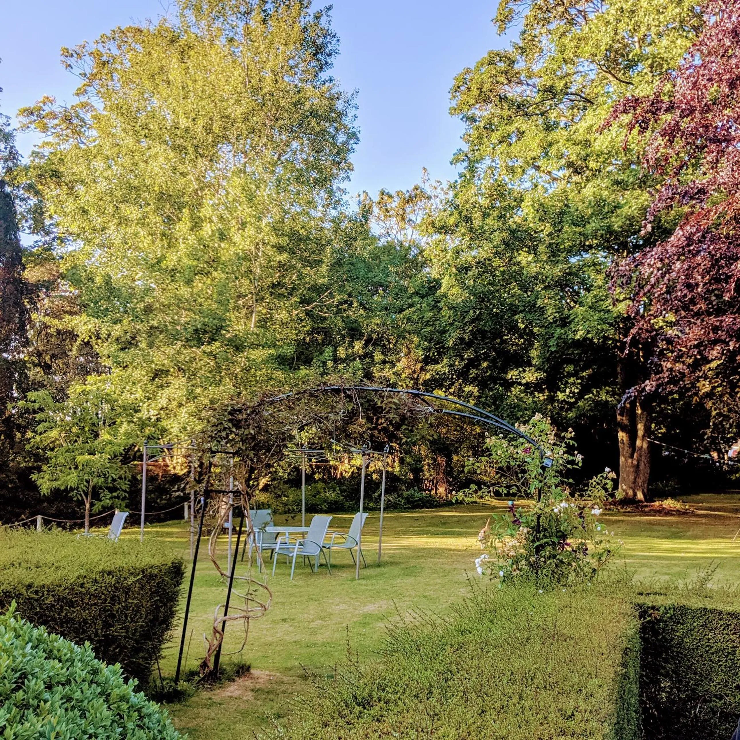 Garden in Marley House Bed and Breakfast