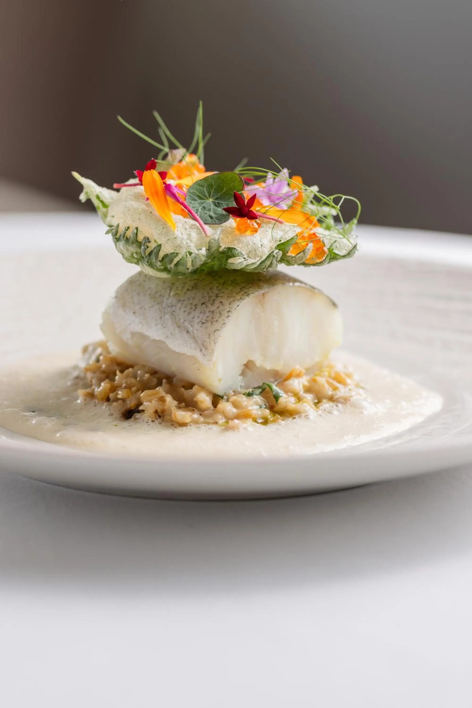 Restaurant/places to eat in Castel Clara Thalasso & Spa