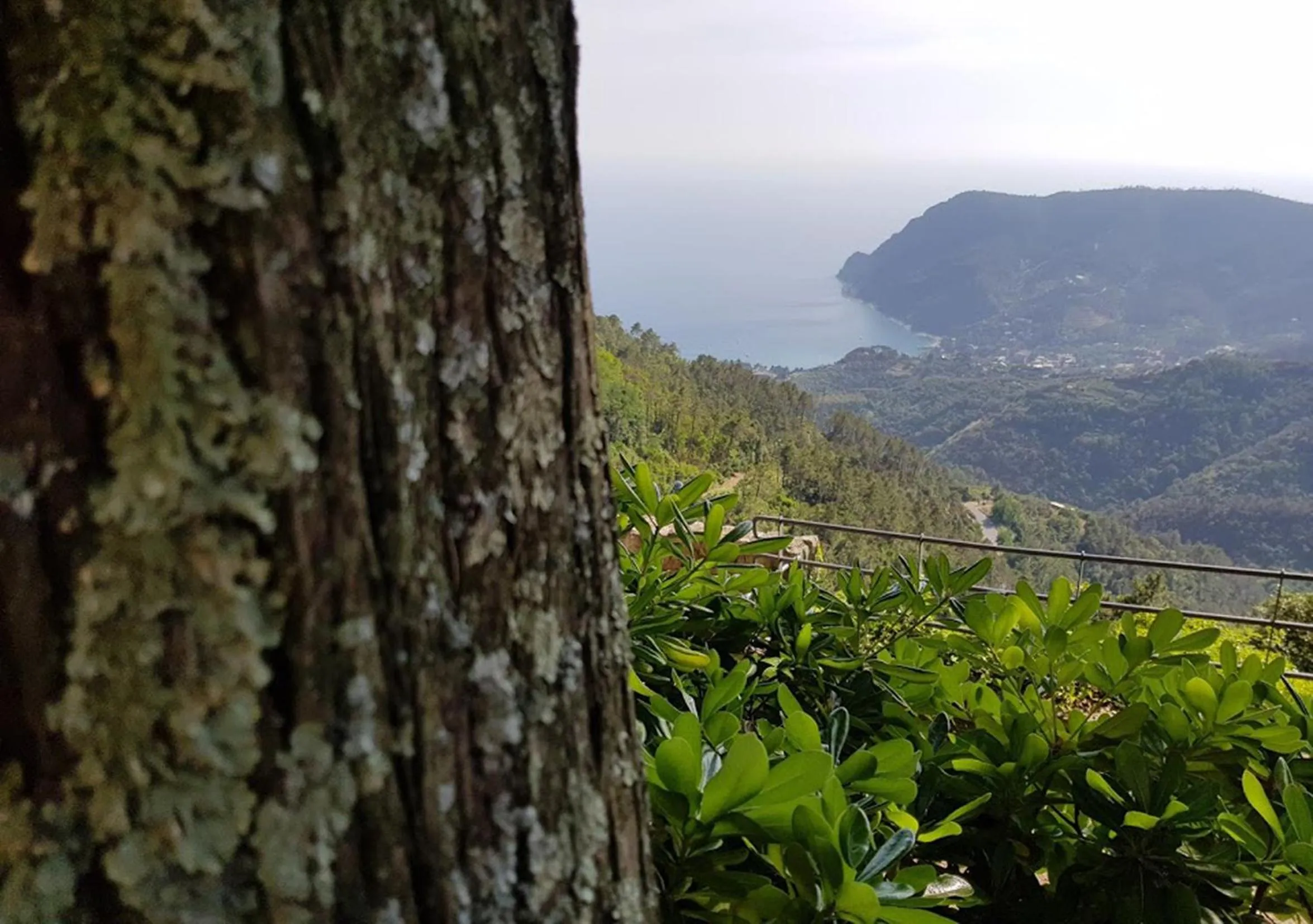 Sea view in Santuario NS Soviore Cinque Terre