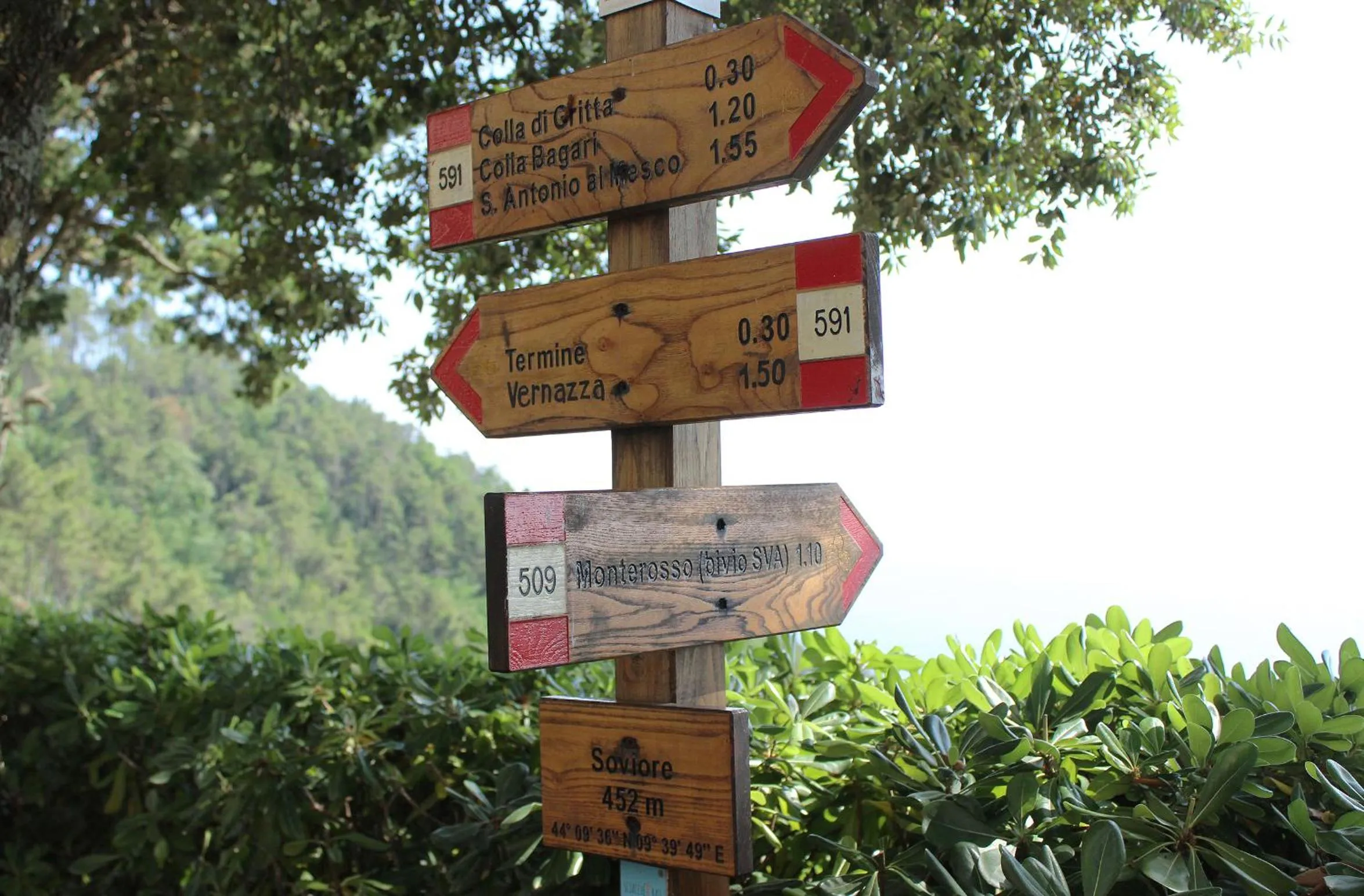 Activities in Santuario NS Soviore Cinque Terre