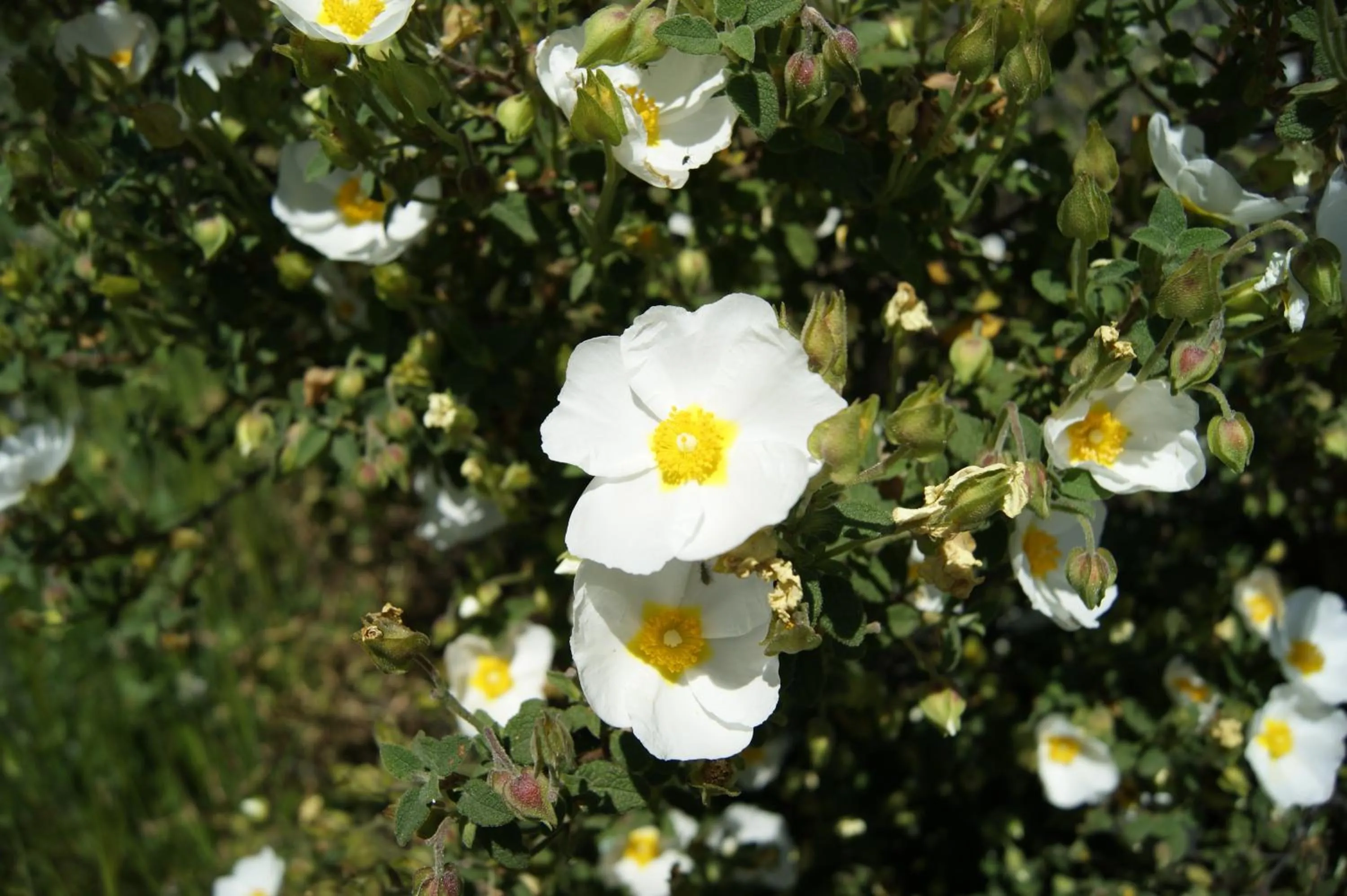 Other in Hotel La Borgata