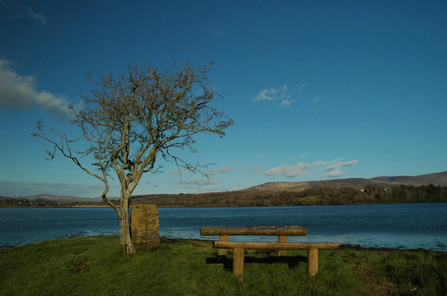 Natural landscape in Kenmare House