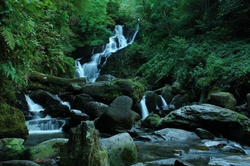 Natural landscape in Kenmare House