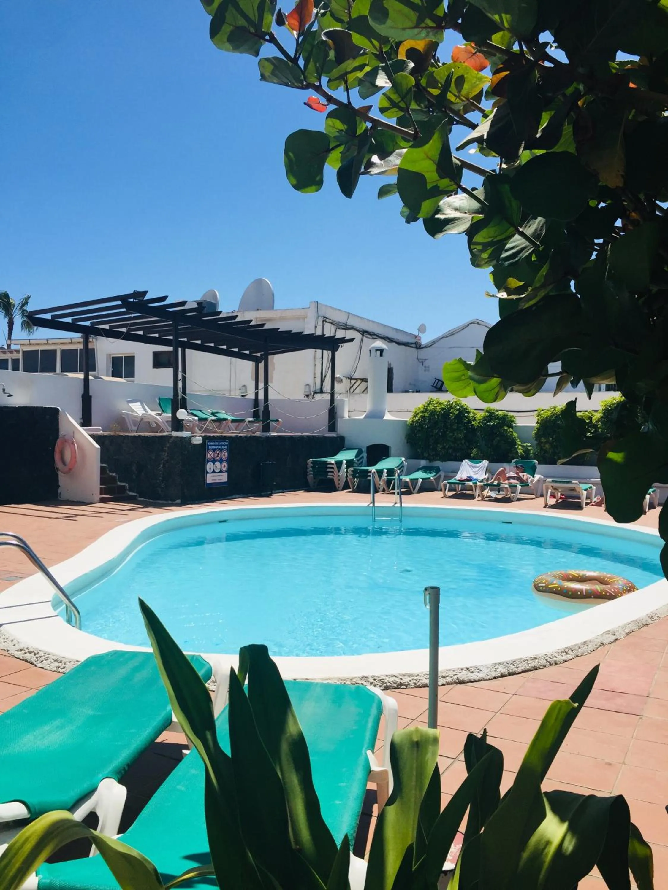 Garden in Apartamentos Maribel