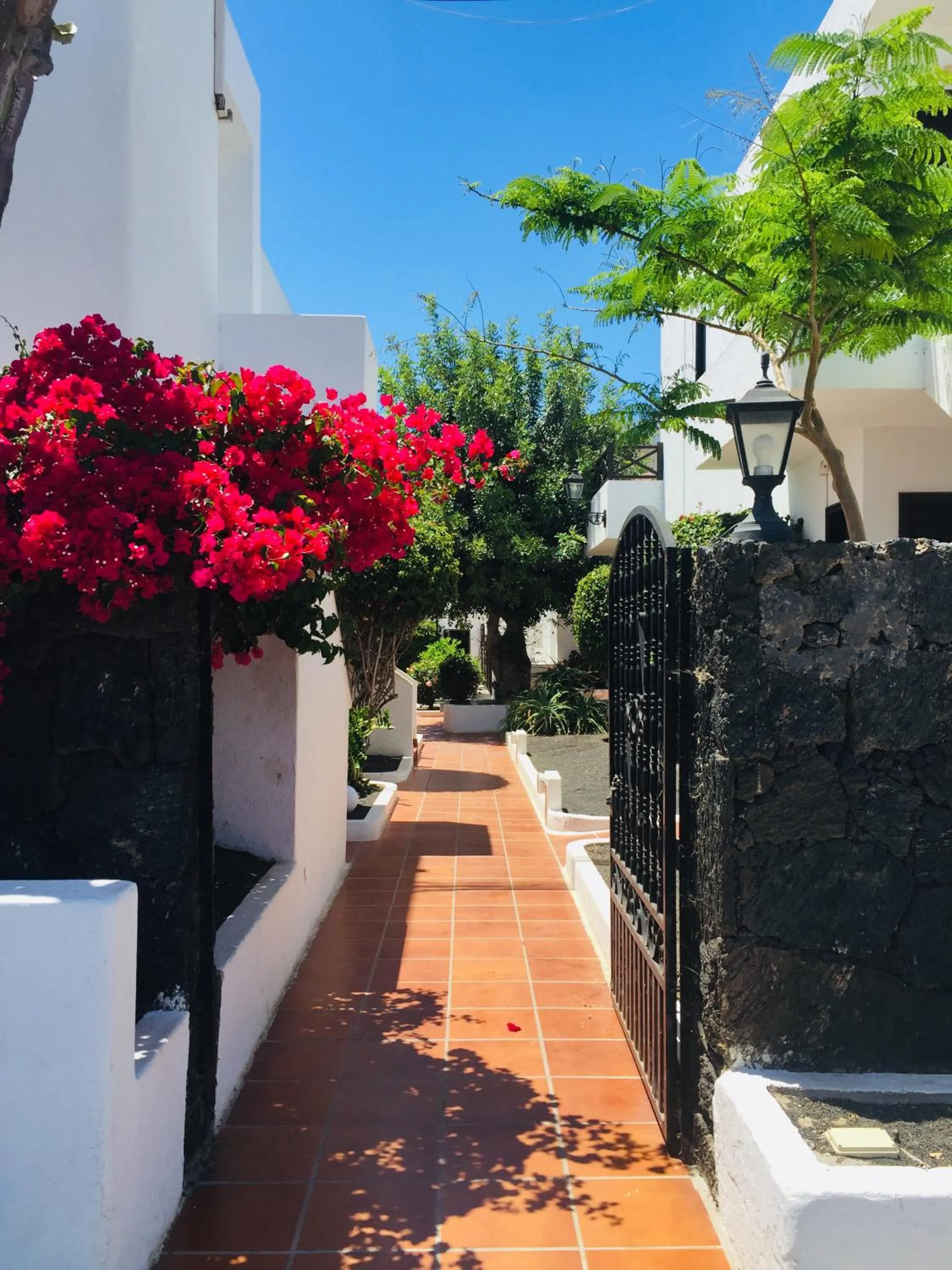 Facade/entrance in Apartamentos Maribel