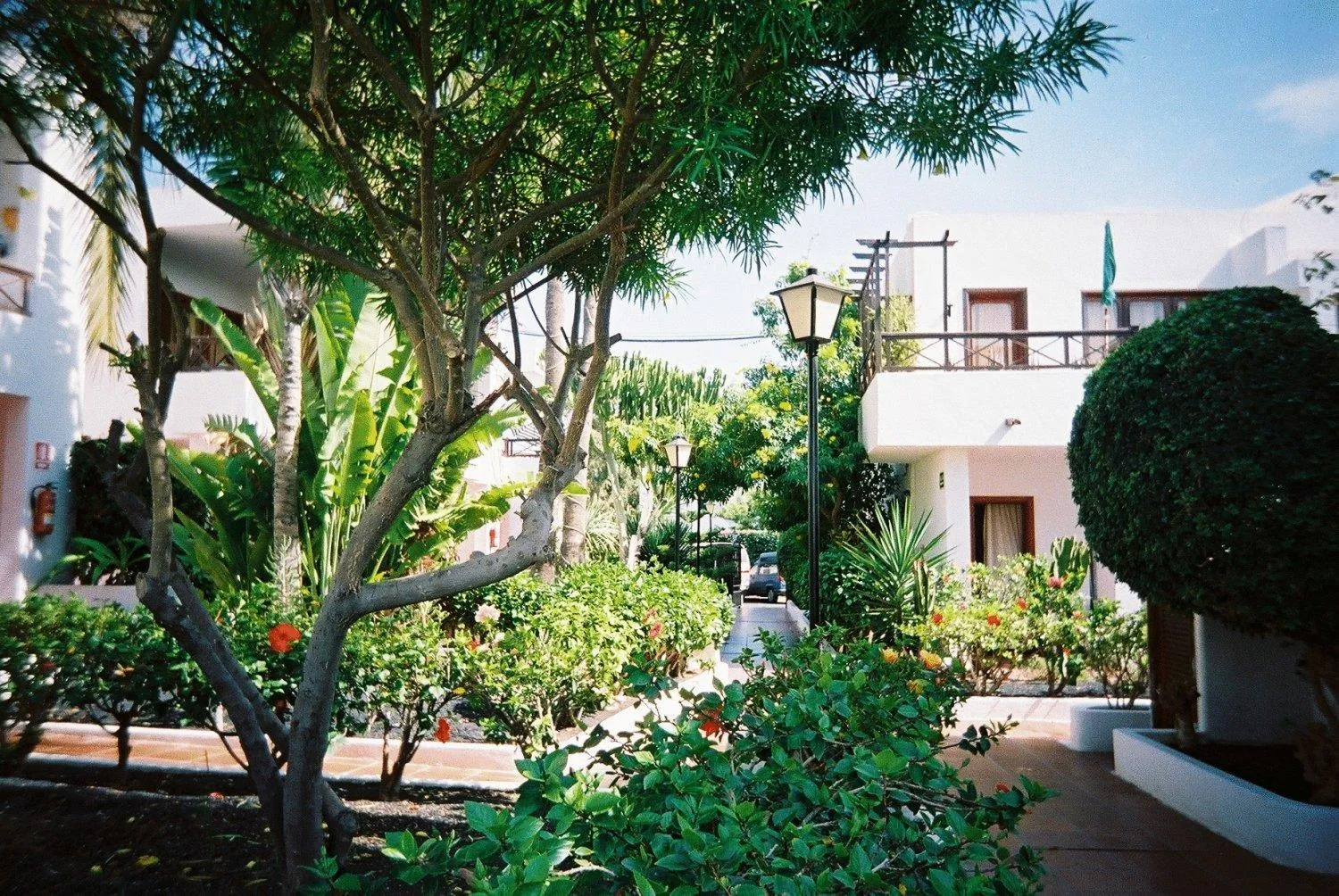 Day in Apartamentos Maribel