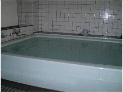 Spa and wellness centre/facilities in Ikawa Ryokan