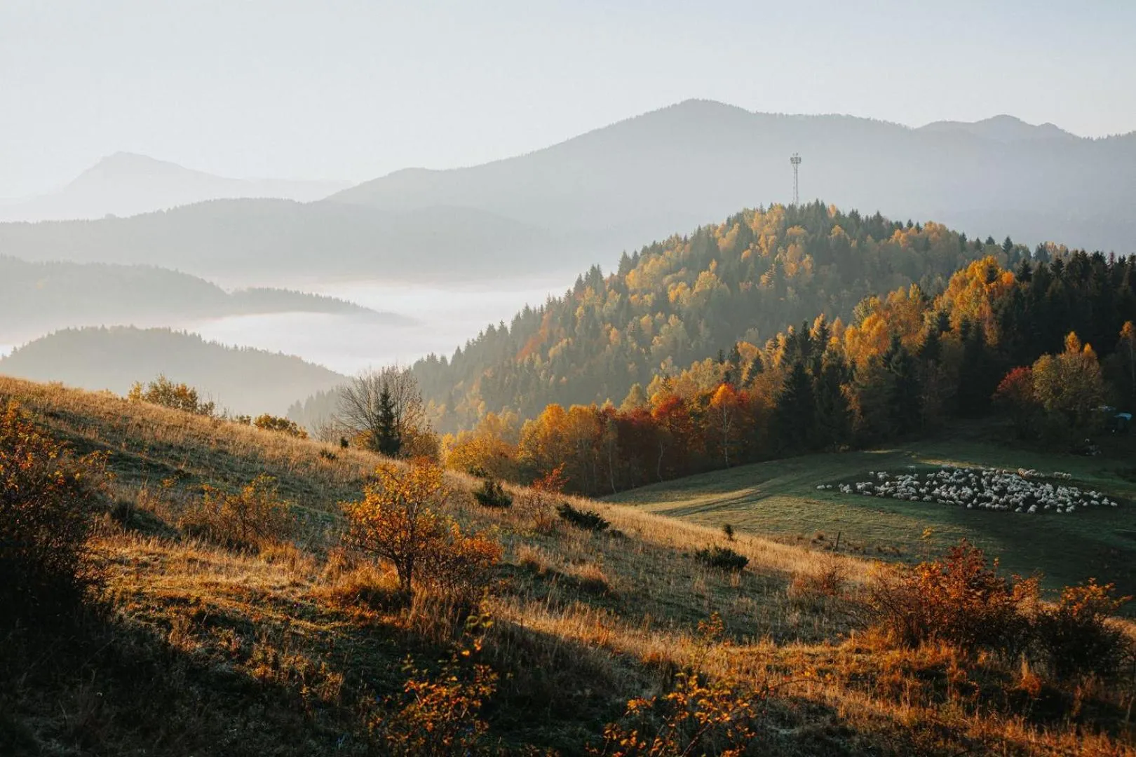Location in Wellness rezort Jánošíkov dvor