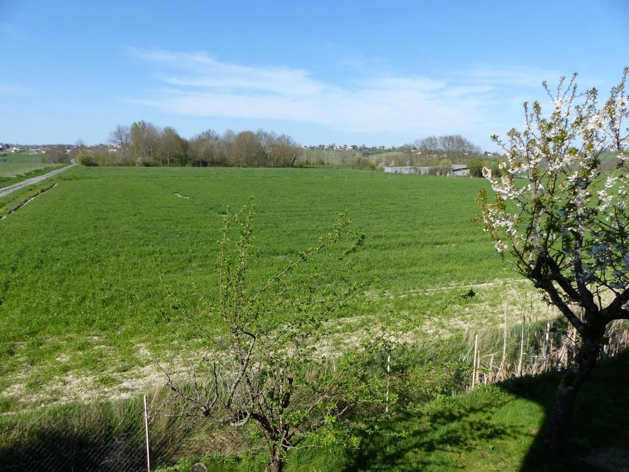 View (from property/room) in Hostellerie du Parc
