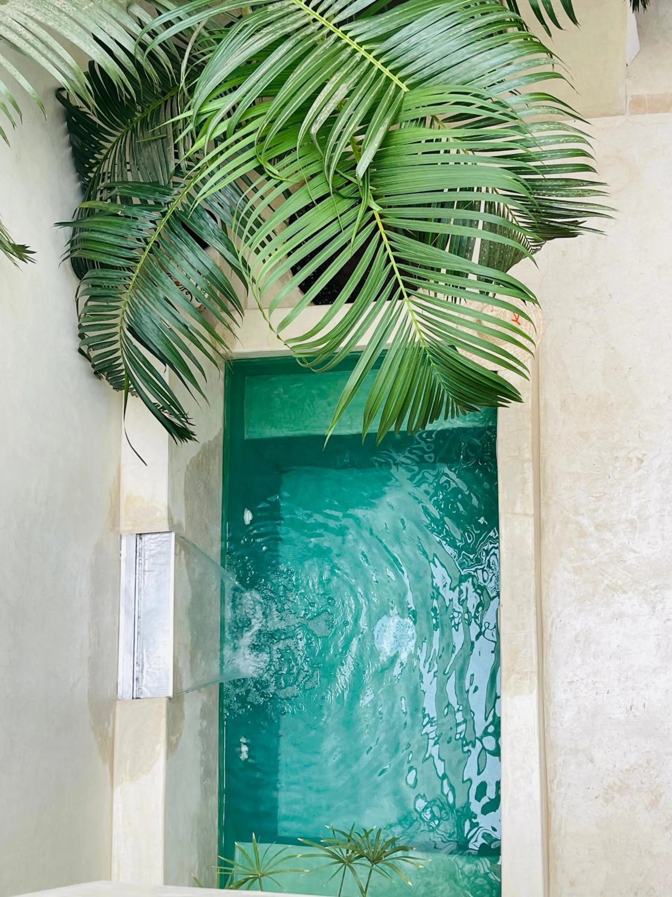 Swimming pool in Riad Dar Massai