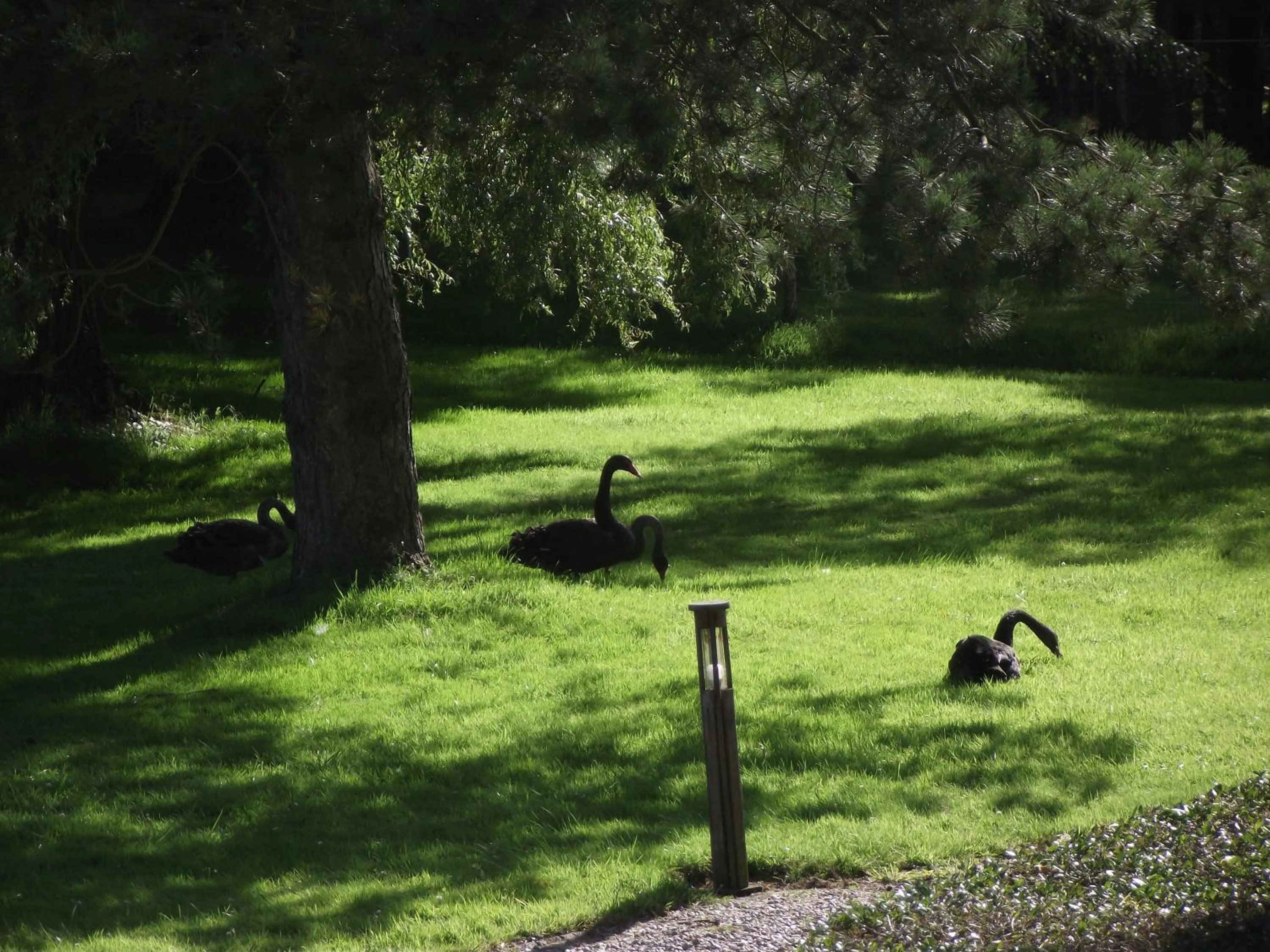 Les Portes des Froises