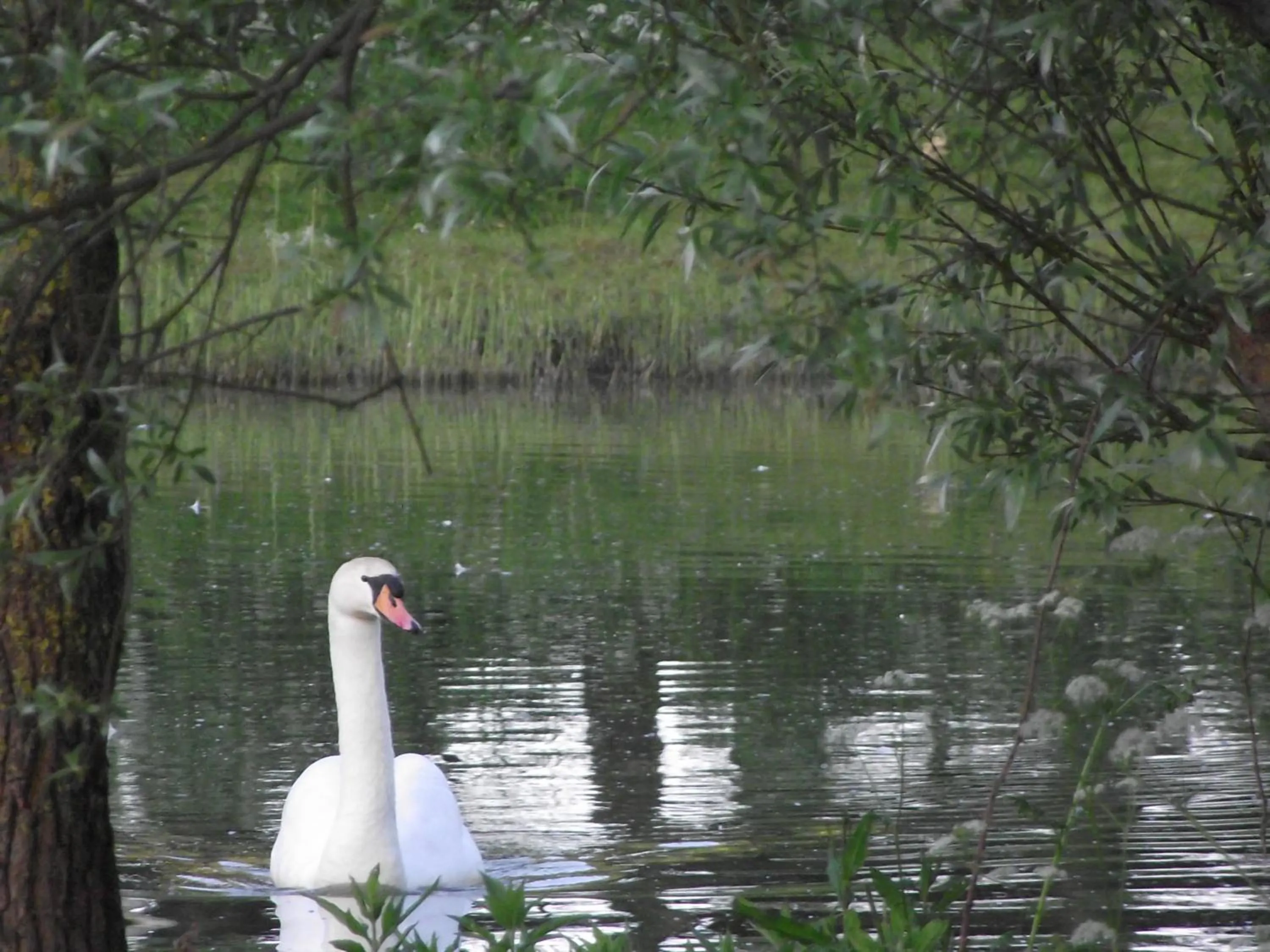 Garden view in Les Portes des Froises