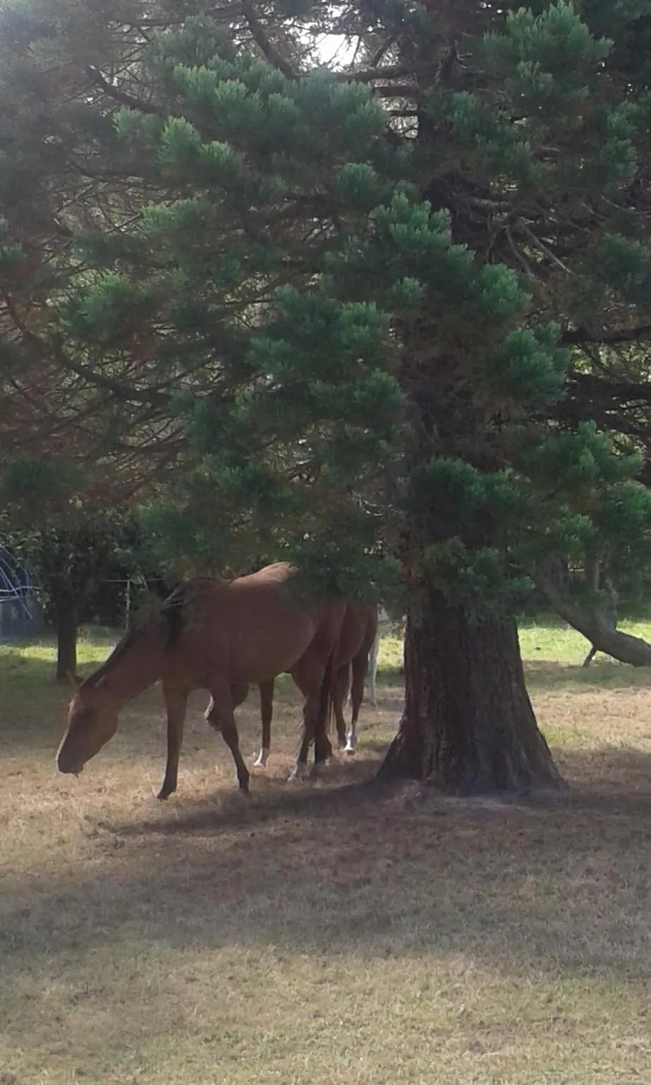Les Portes des Froises